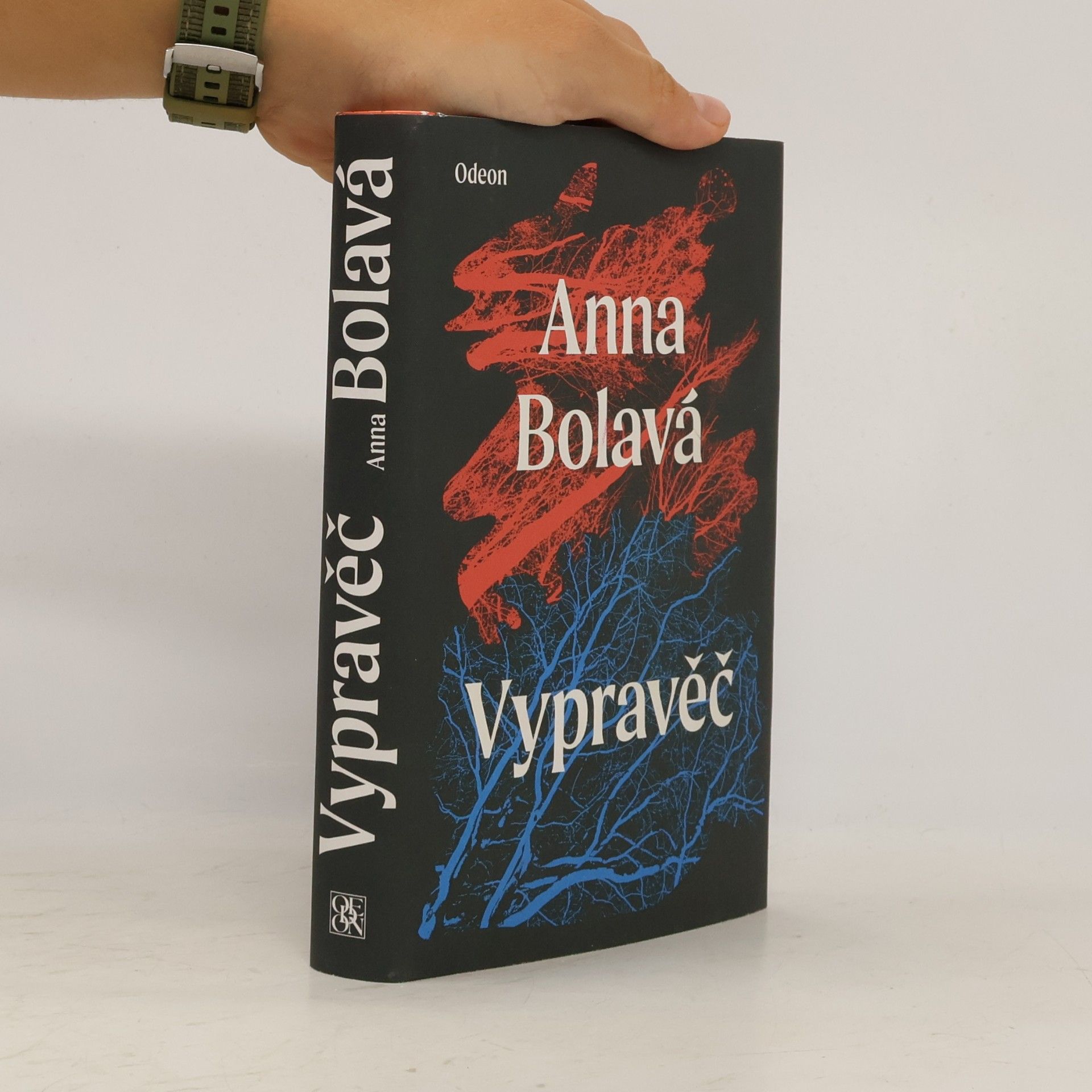 Anna Bolavá Vypravěč