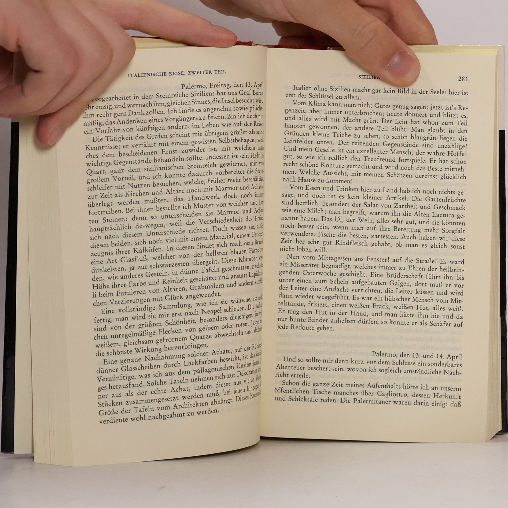 Johann Wolfgang von Goethe Werke 6