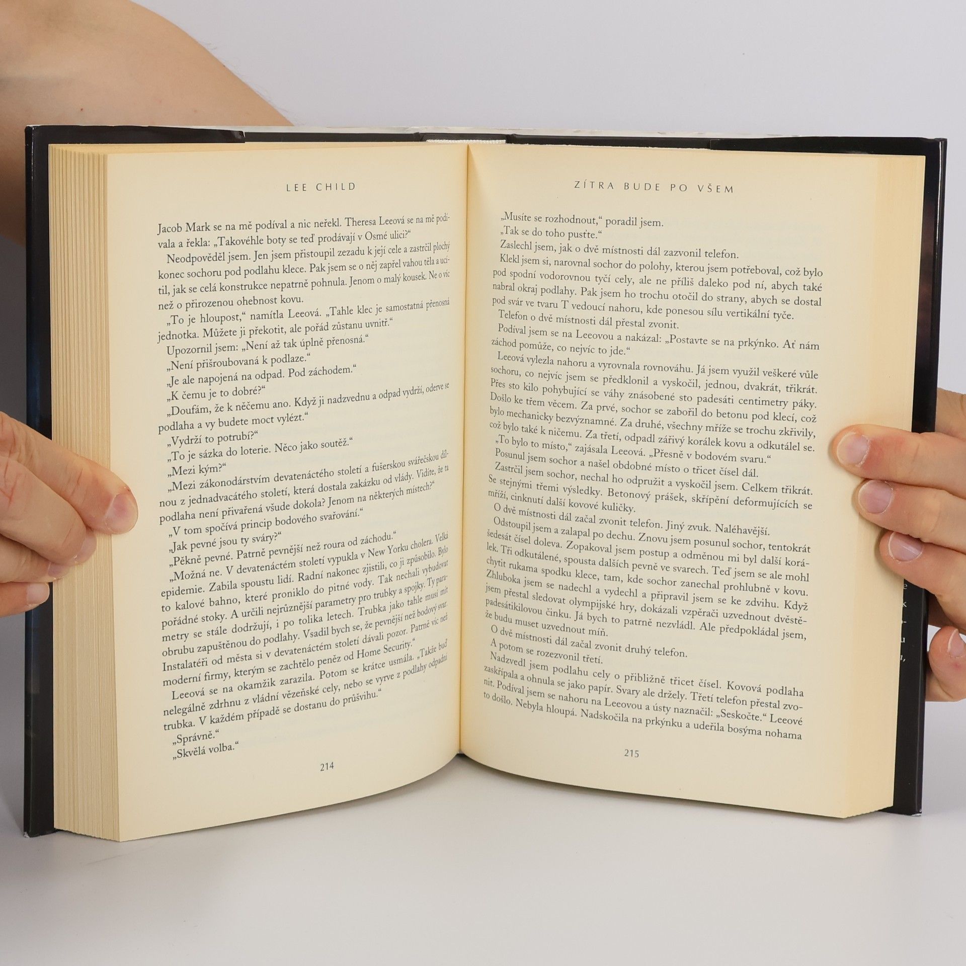 Lee Child Zítra bude po všem