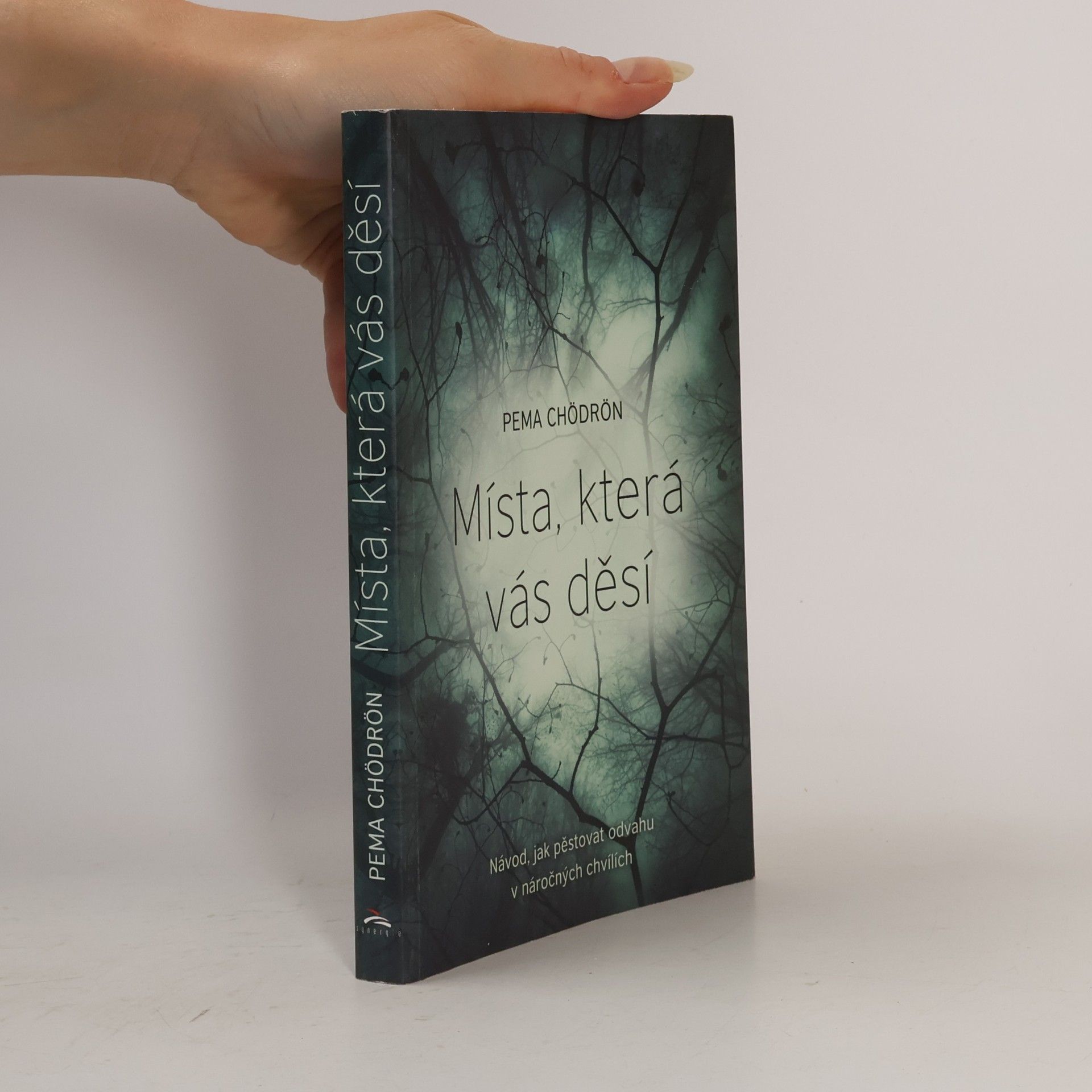 Pema Chödrön Místa, která vás děsí