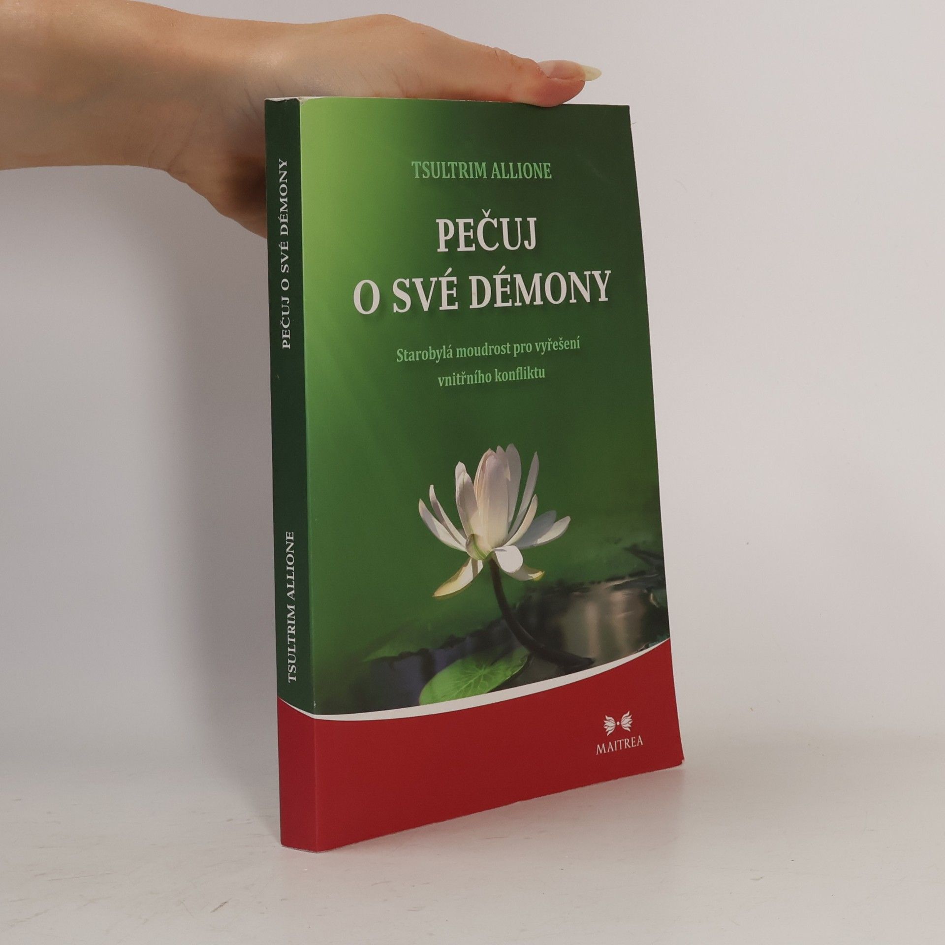 Tsultrim Allione Pečuj o své démony. Starobylá moudrost pro vyřešení vnitřního konfliktu