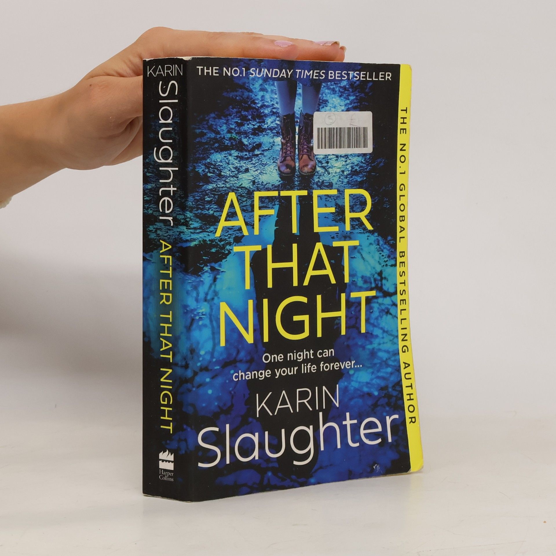 Karin Slaughter After That Night