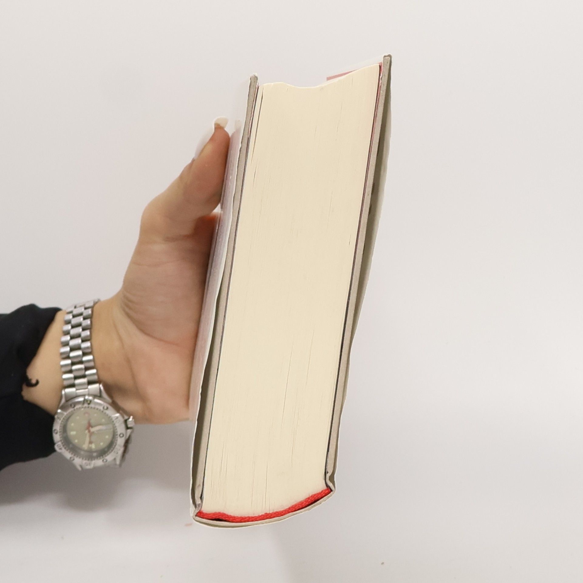 Silvia Roth Der Beutegänger