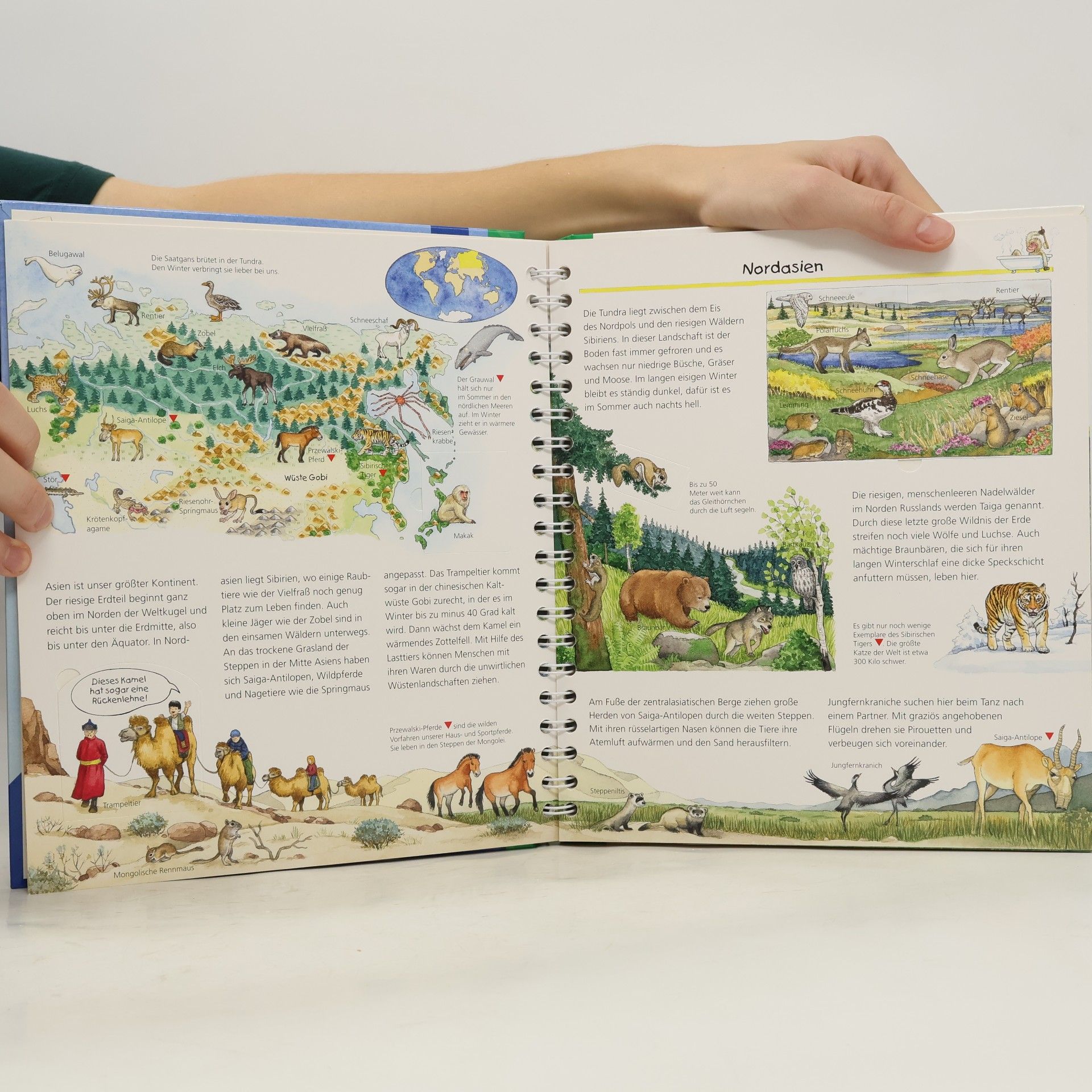 Various authors Mein großer Tieratlas