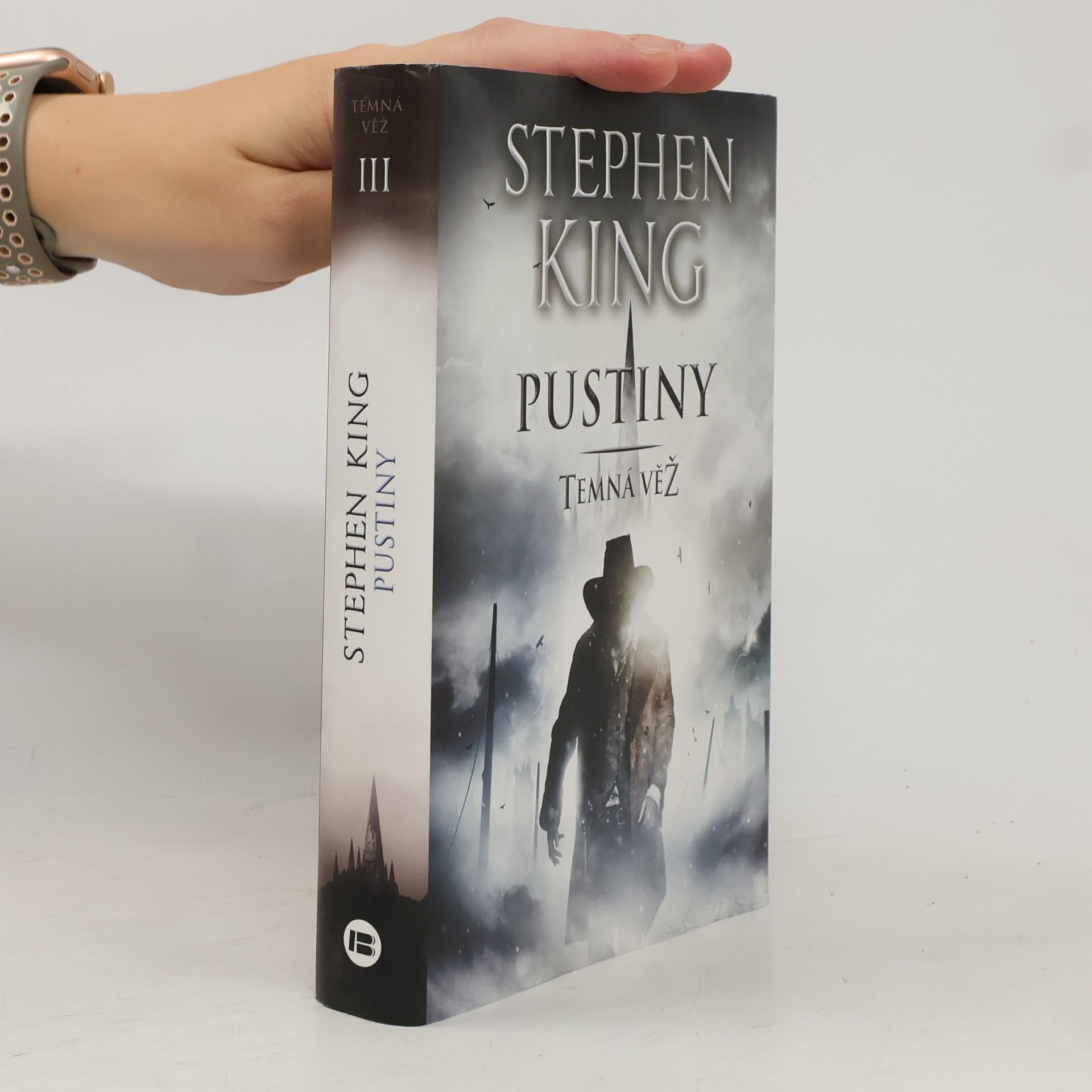 Stephen King Temná věž: Pustiny
