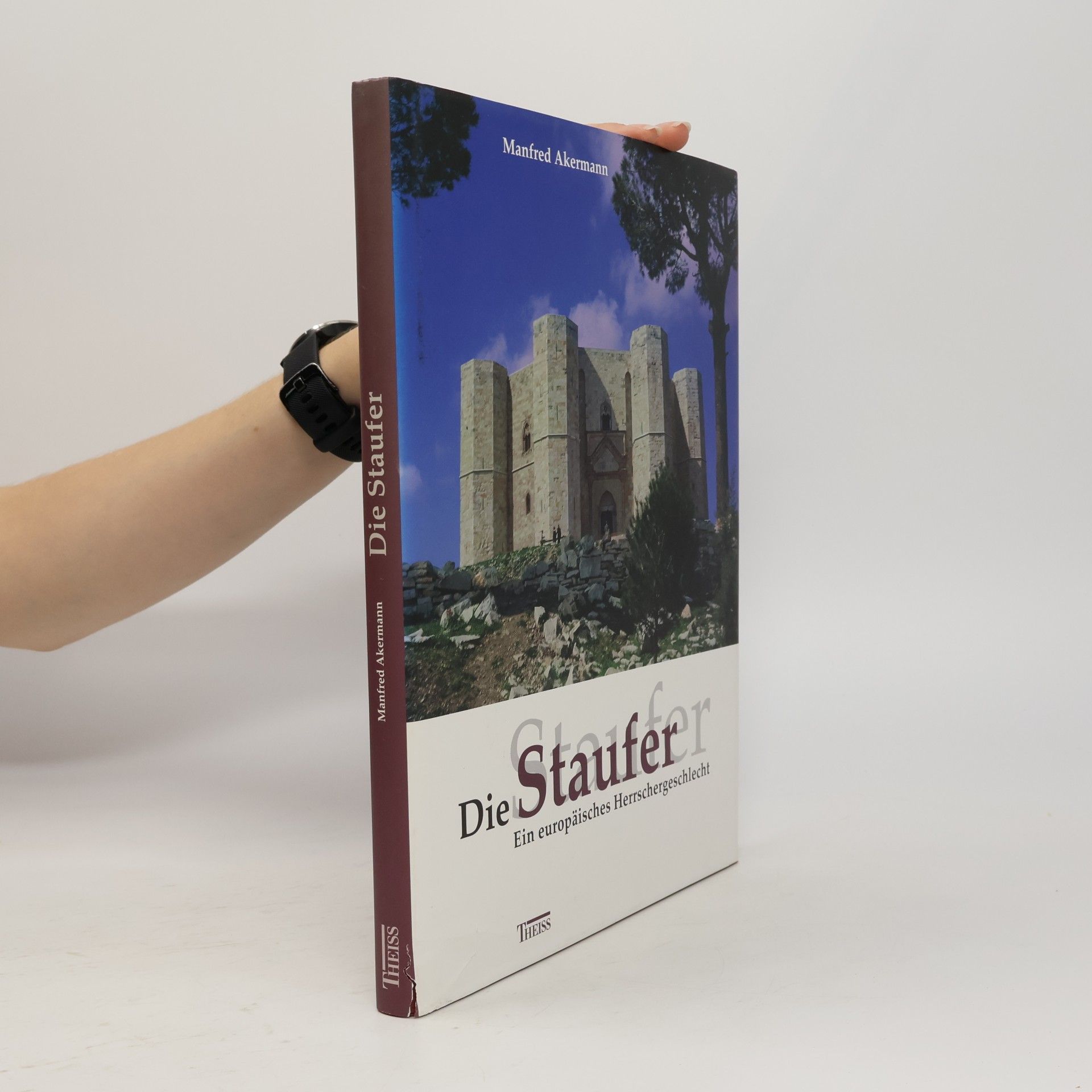 Manfred Akermann Die Staufer