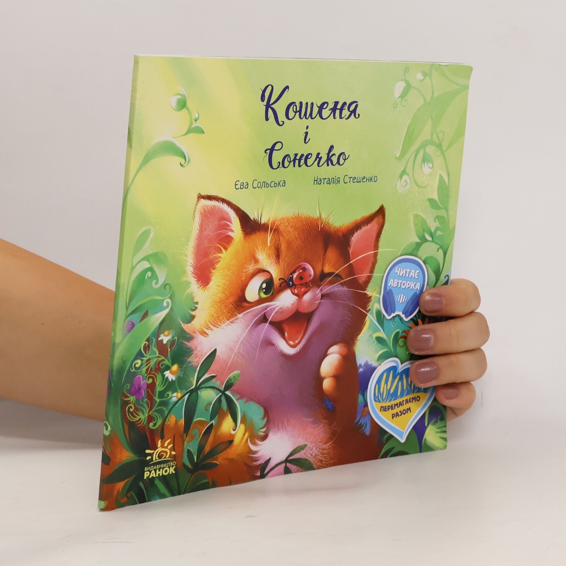Кошеня і сонечко