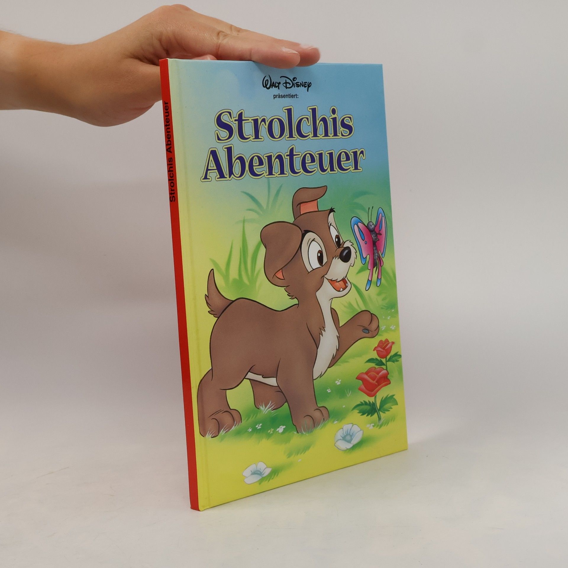 Auteurscollectief Strolchis Abenteuer