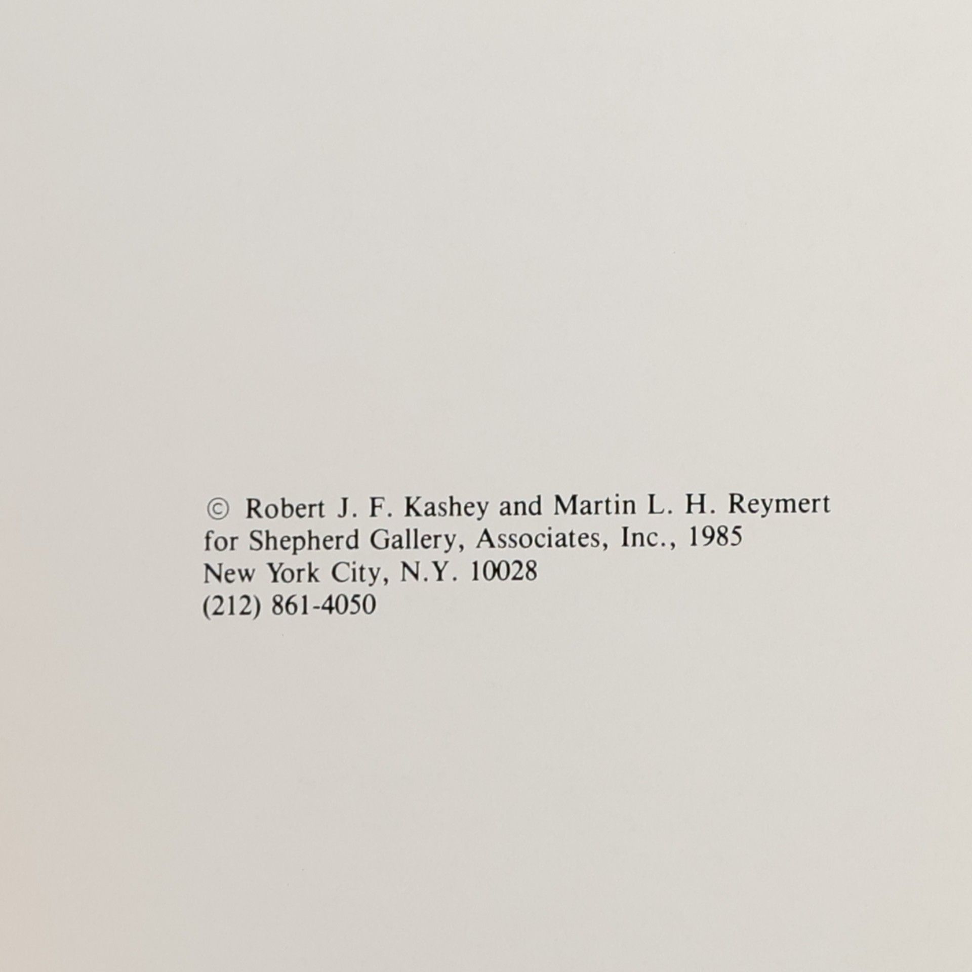 Autorenkollektiv Nineteenth Century French and Western European Sculpture in Bronze and Other Media