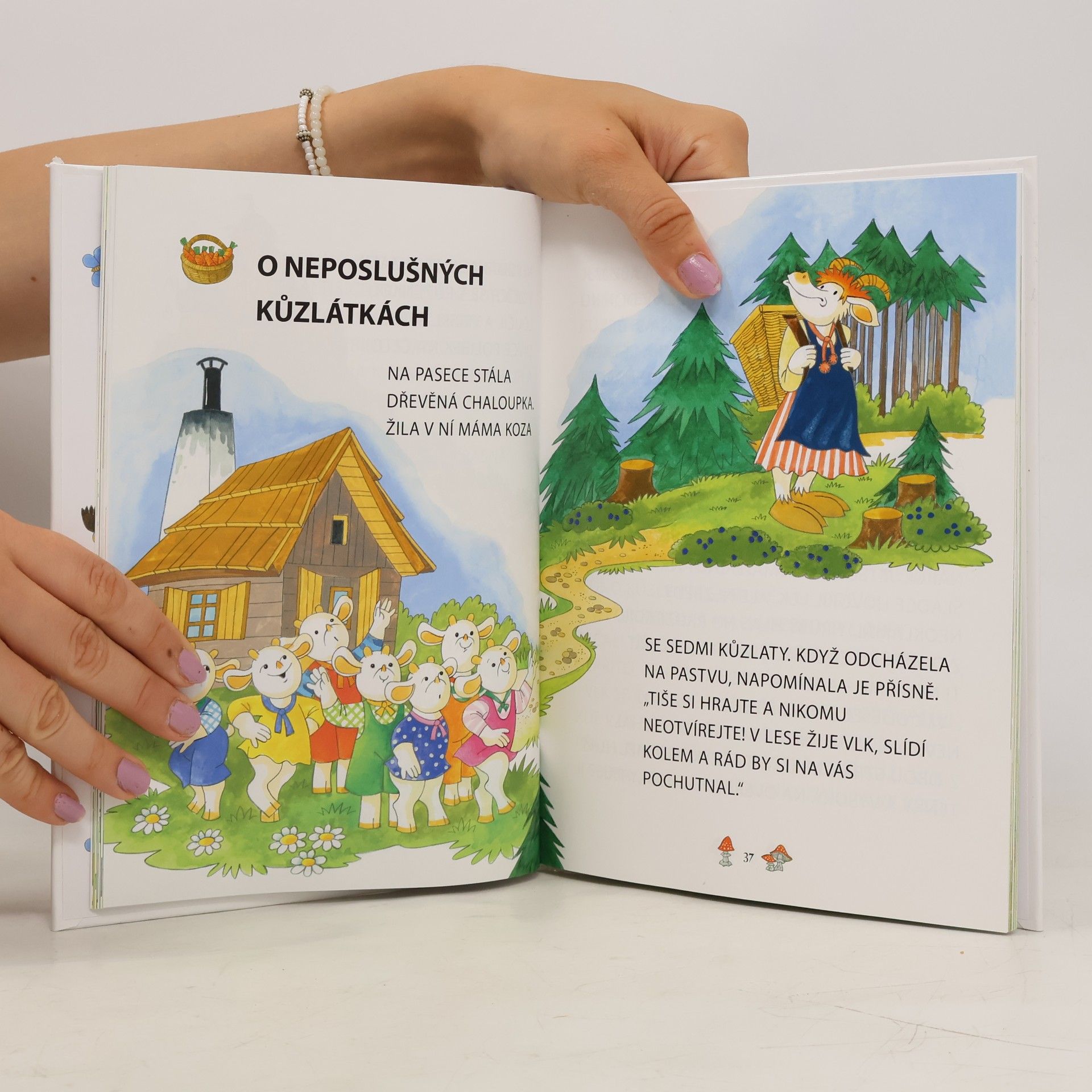 Marie Tetourová Začínáme číst pohádky