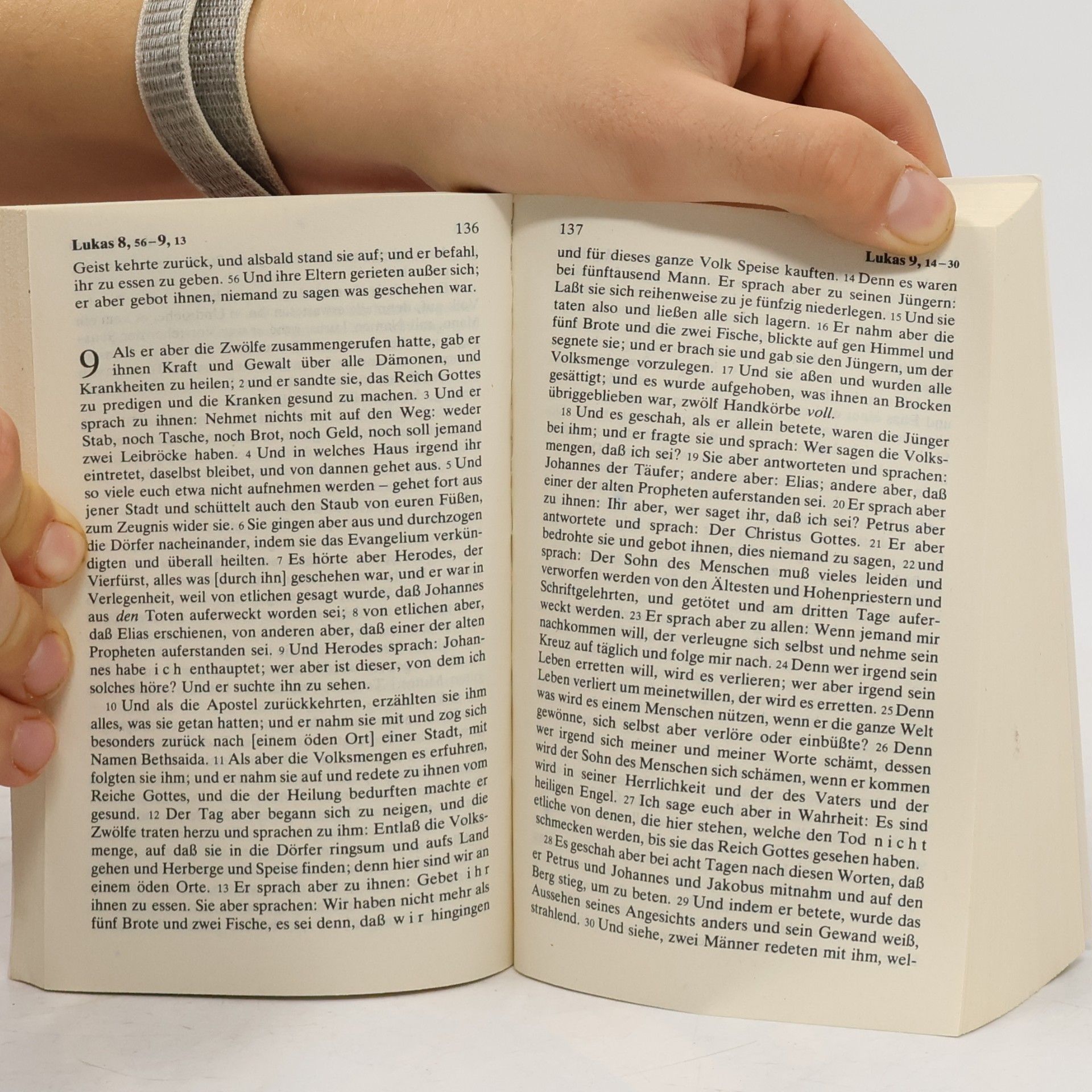 AA.VV. Das neue Testament