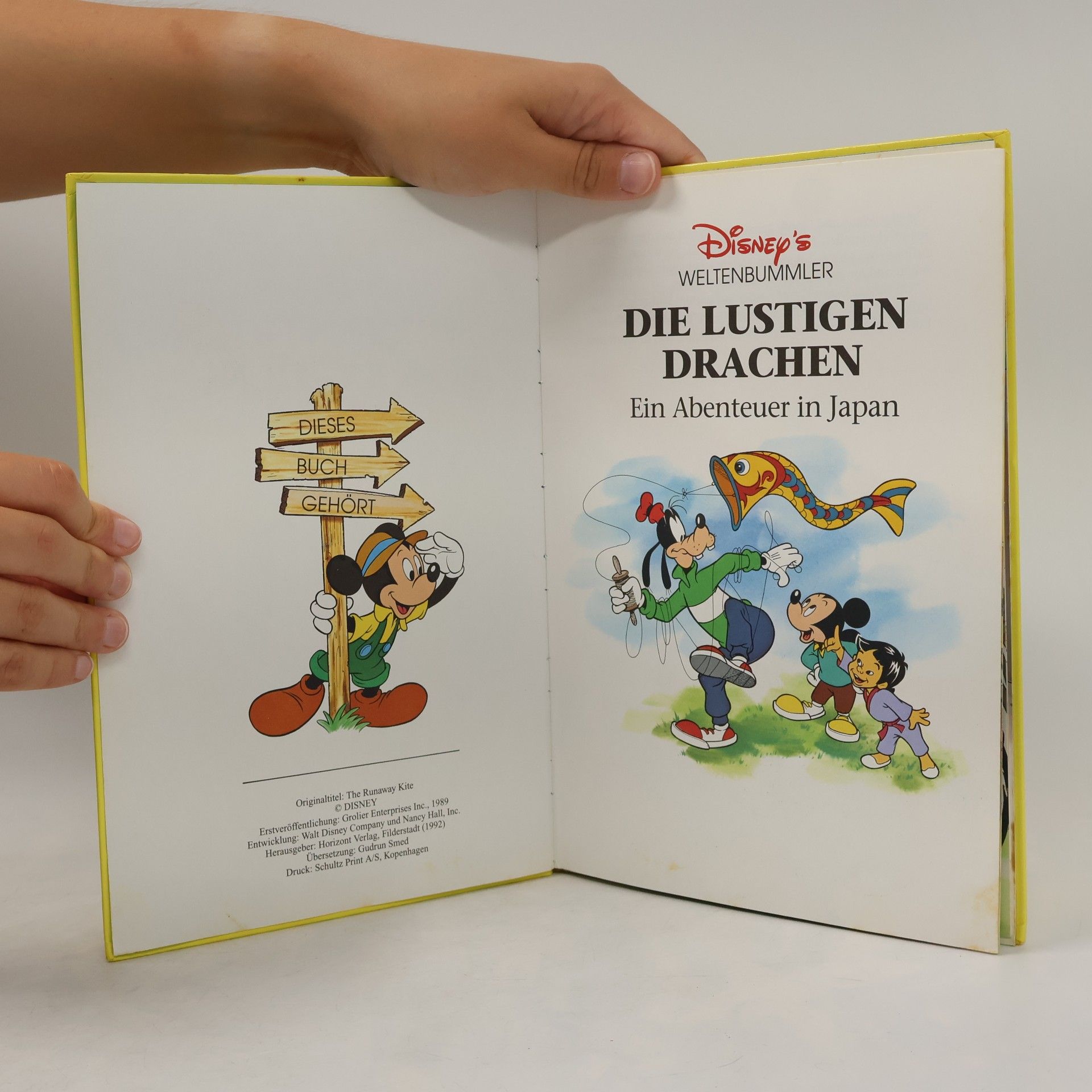 Various authors Die lustigen Drachen