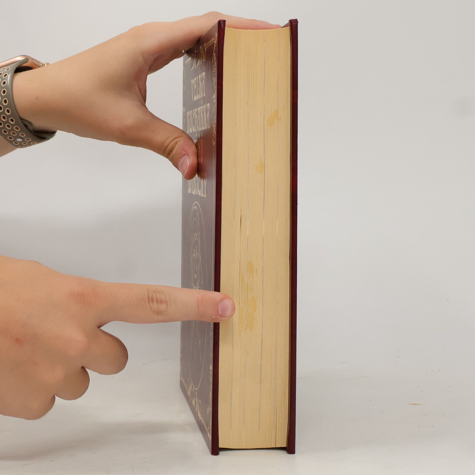 Autorenkollektiv Velká kuchařka naší babičky