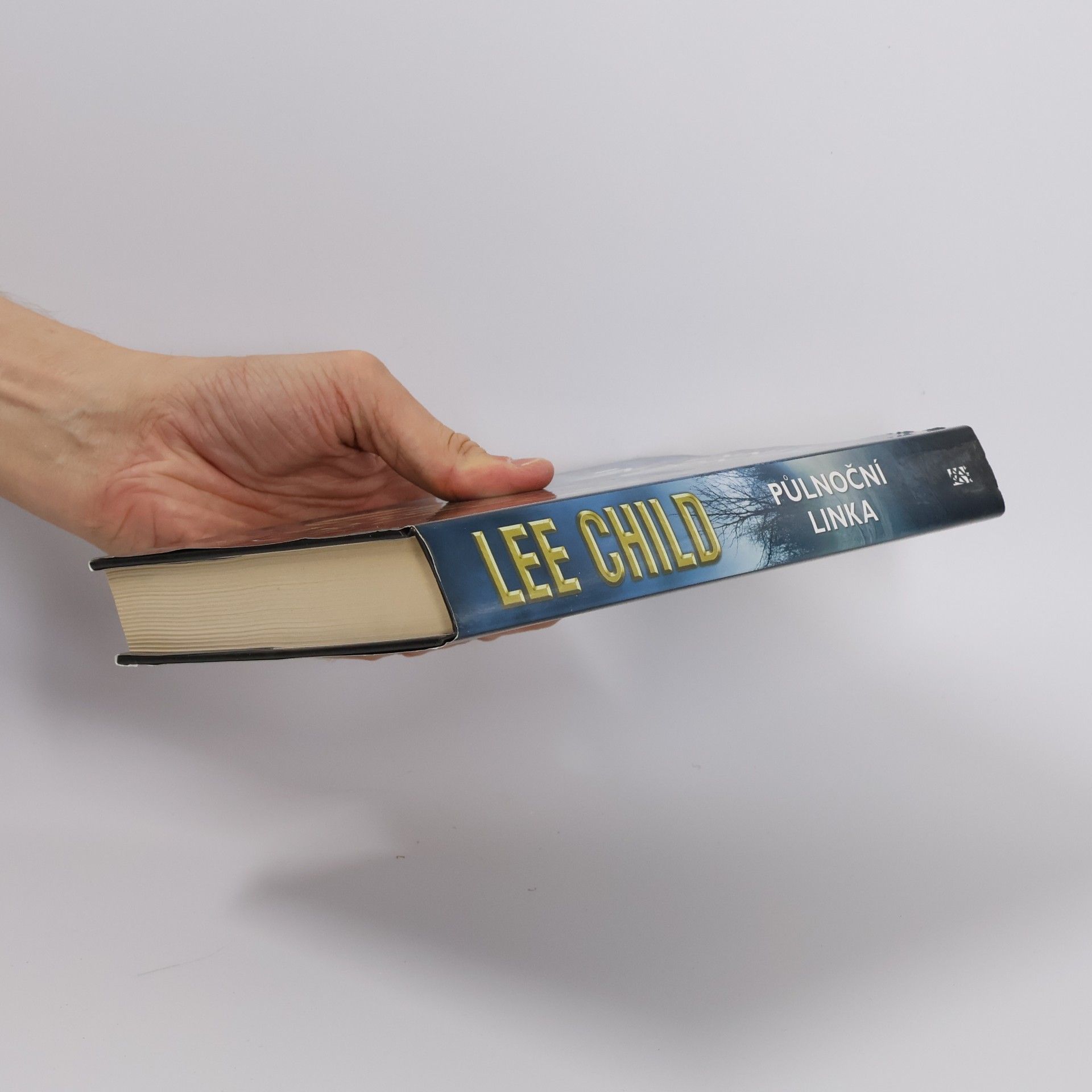 Lee Child Půlnoční linka
