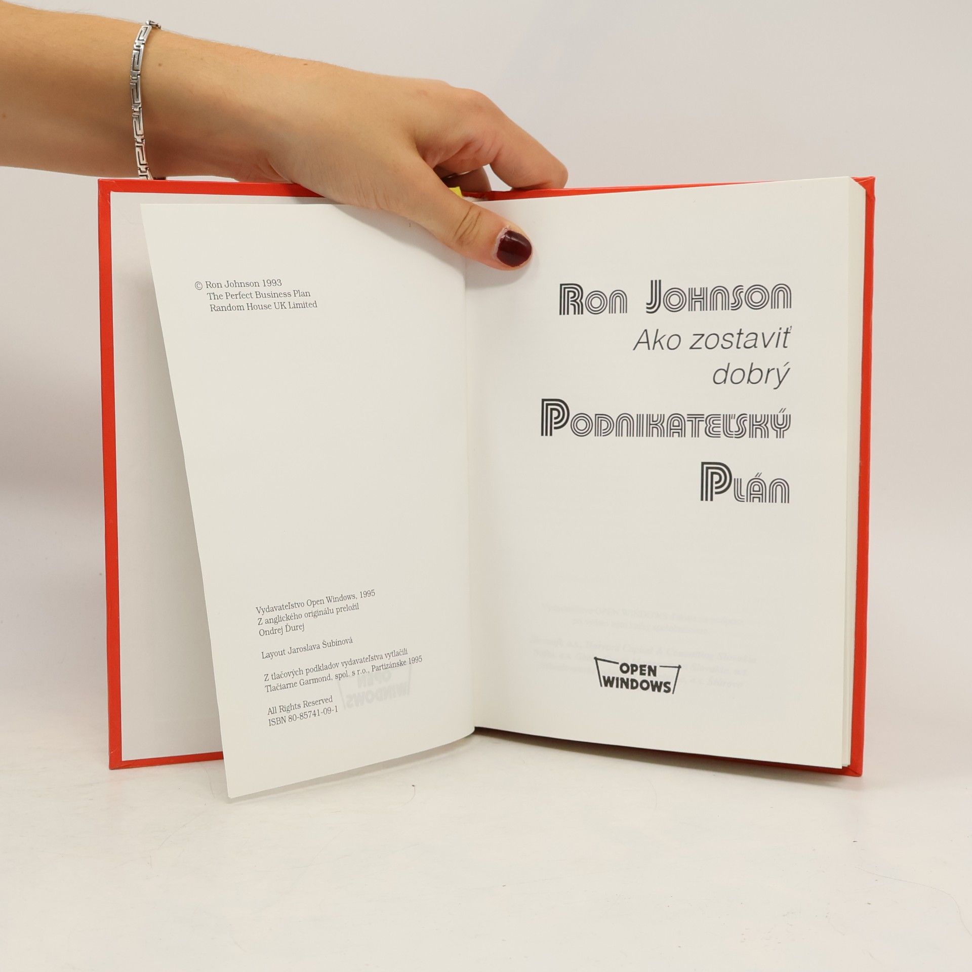 Ron Johnson Podnikatelský plán