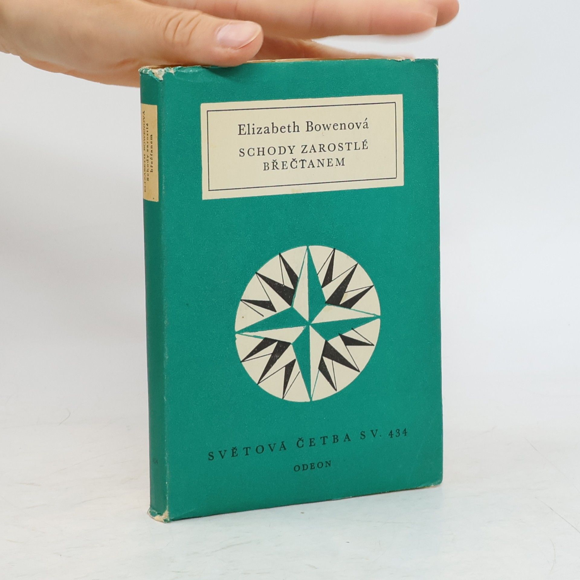 Elizabeth Bowen Schody zarostlé břečťanem