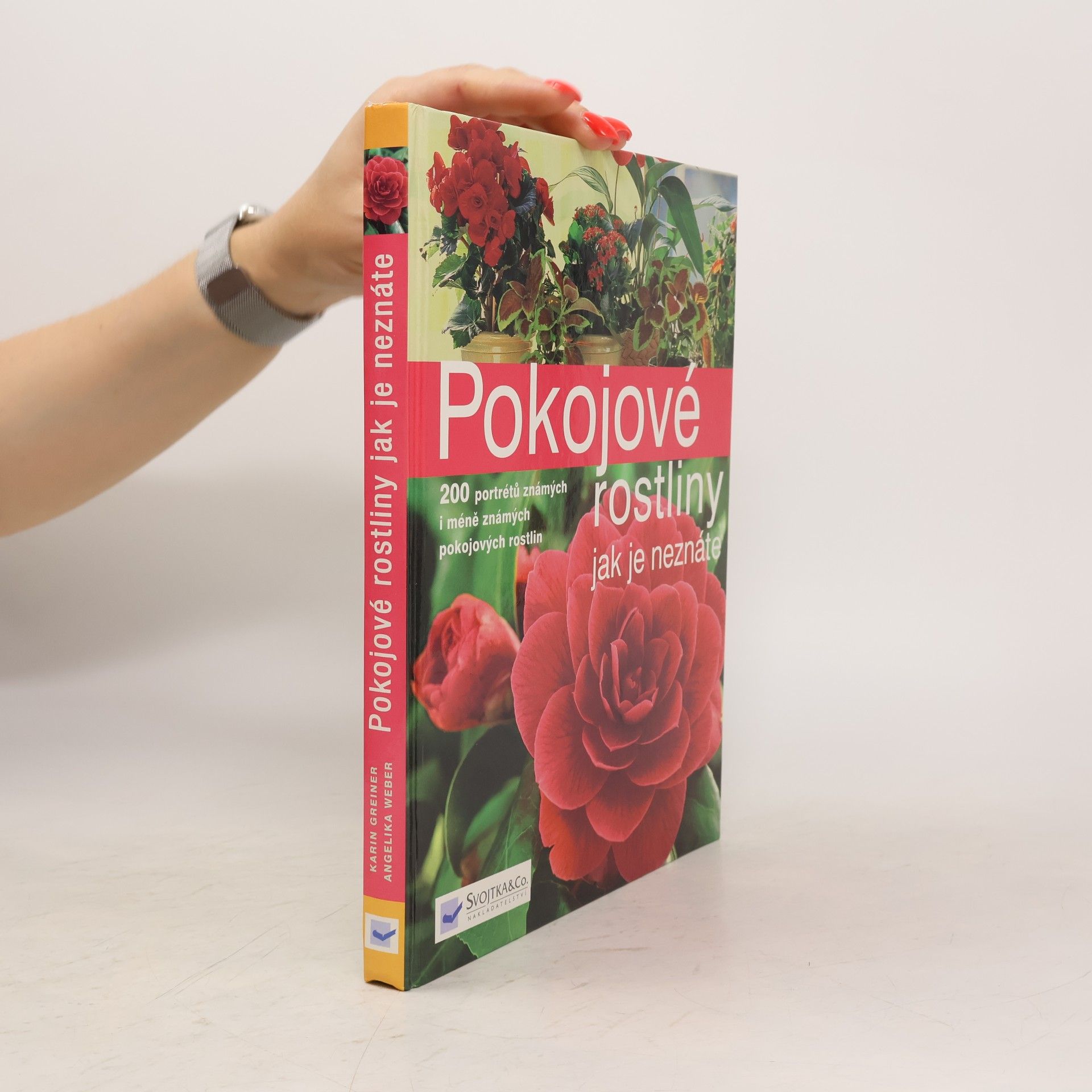 Pokojové rostliny jak je neznáte