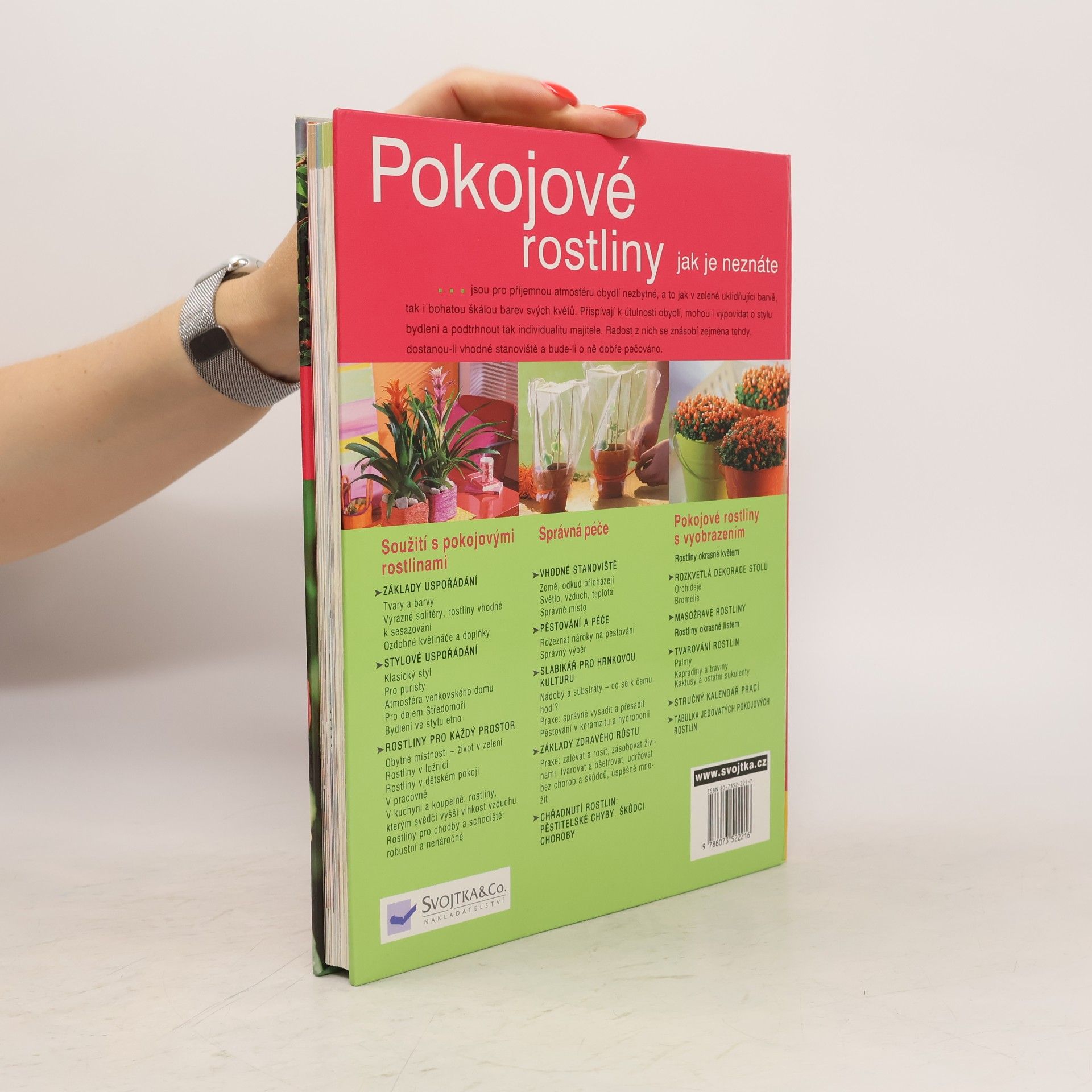 Karin Greiner Pokojové rostliny jak je neznáte