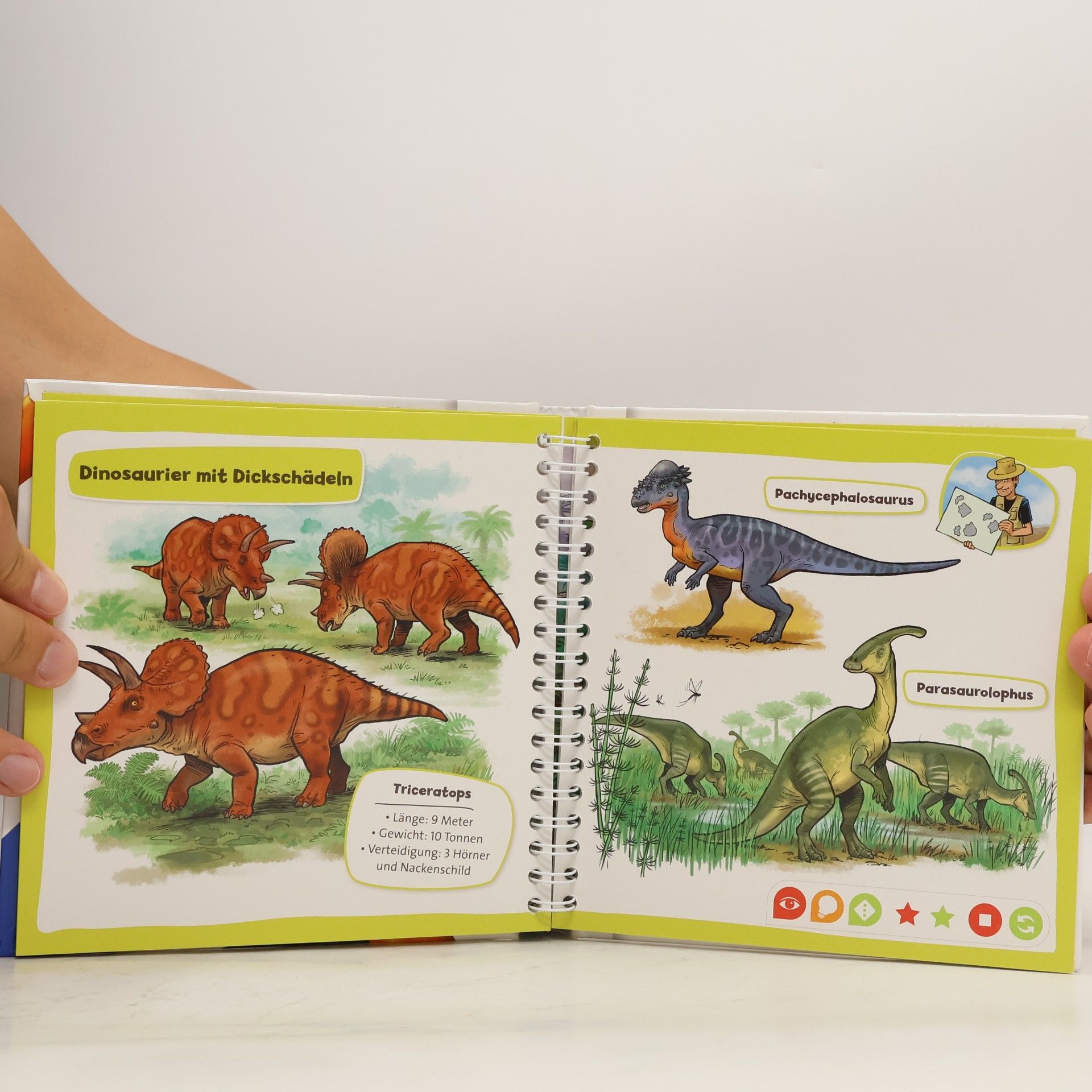 Autorenkollektiv Pocket Wissen. Dinosaurier