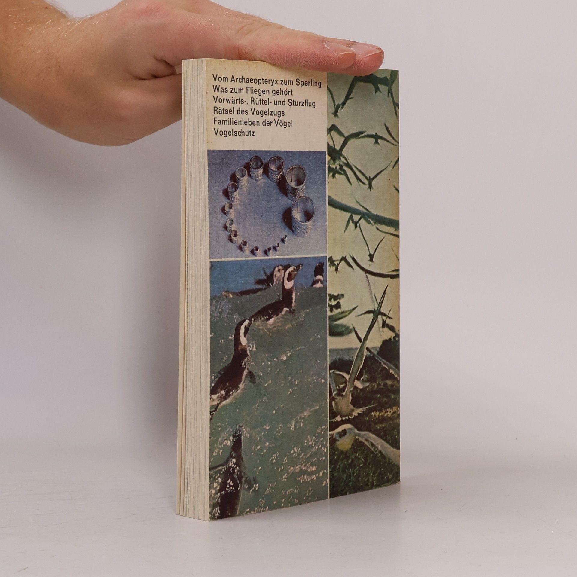Roger Tory Peterson rororo Sachbuch - 56: Die Vögel