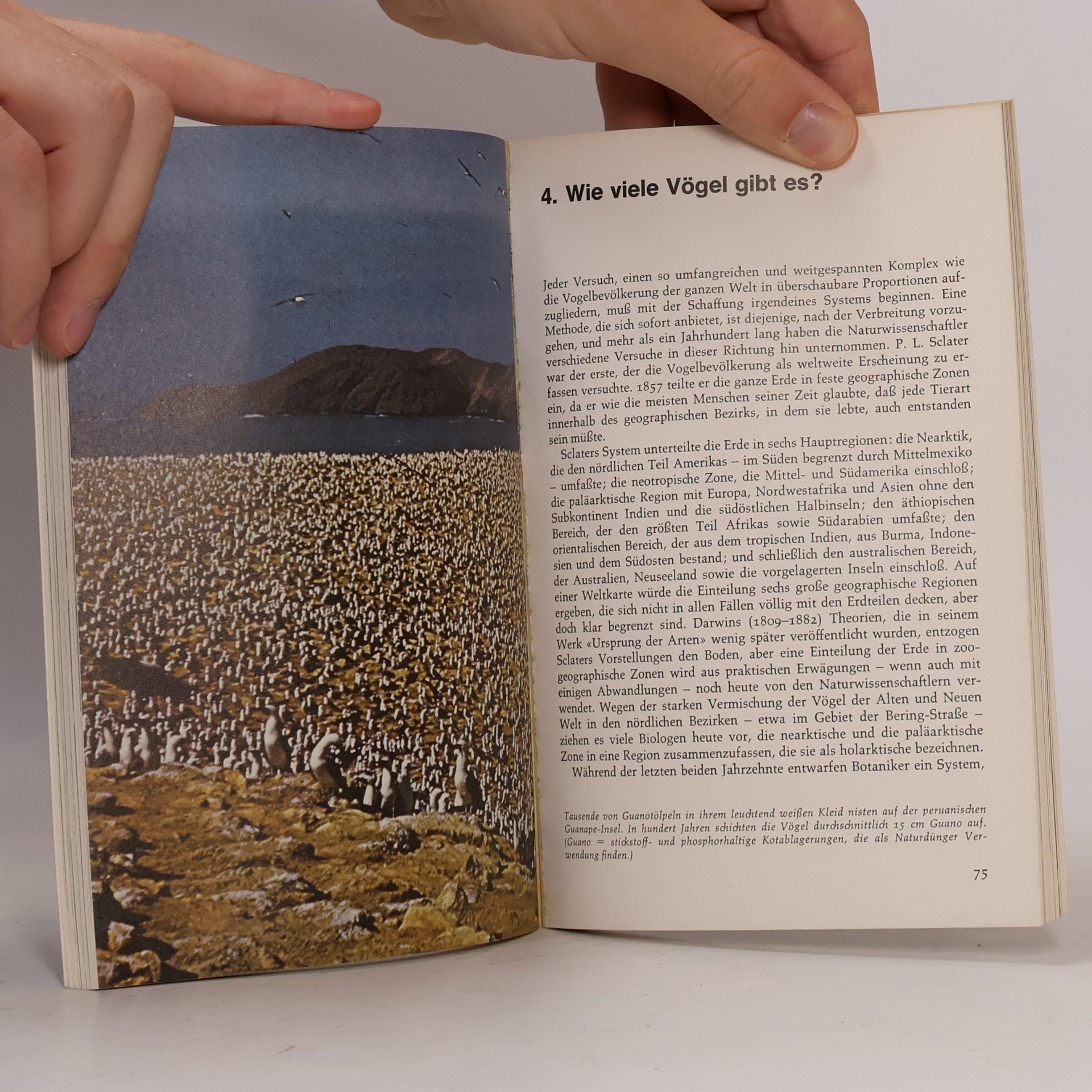 Roger Tory Peterson rororo Sachbuch - 56: Die Vögel