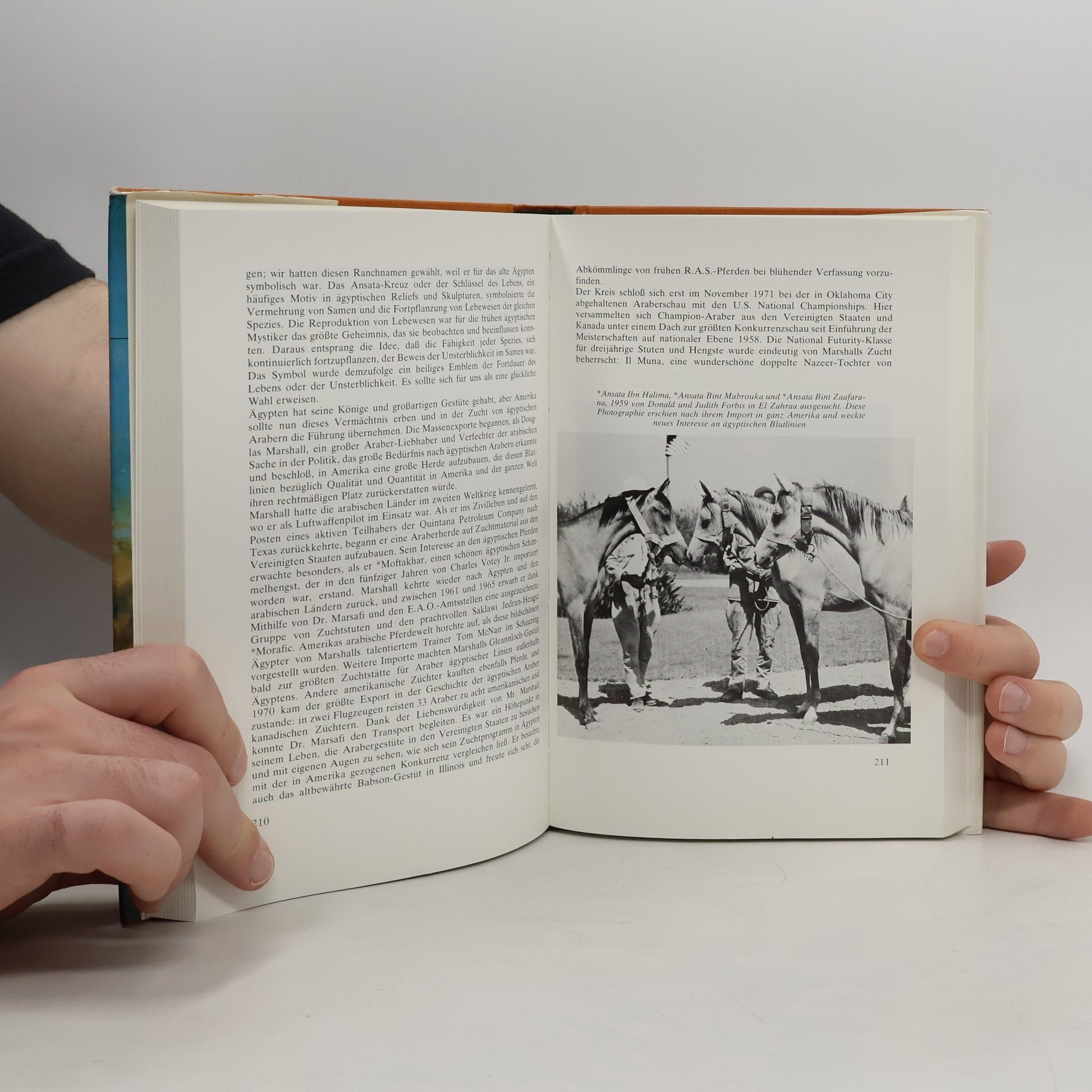 Judith Forbis Das klassische arabische Pferd