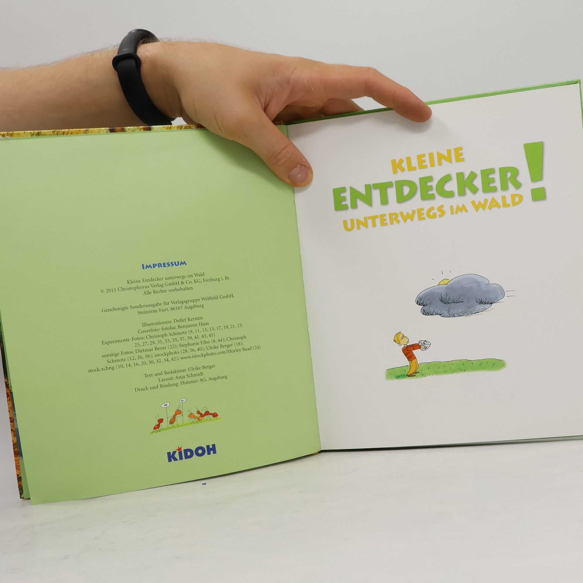 Autorenkollektiv Kleine Entdecker! Unterwegs im Wald