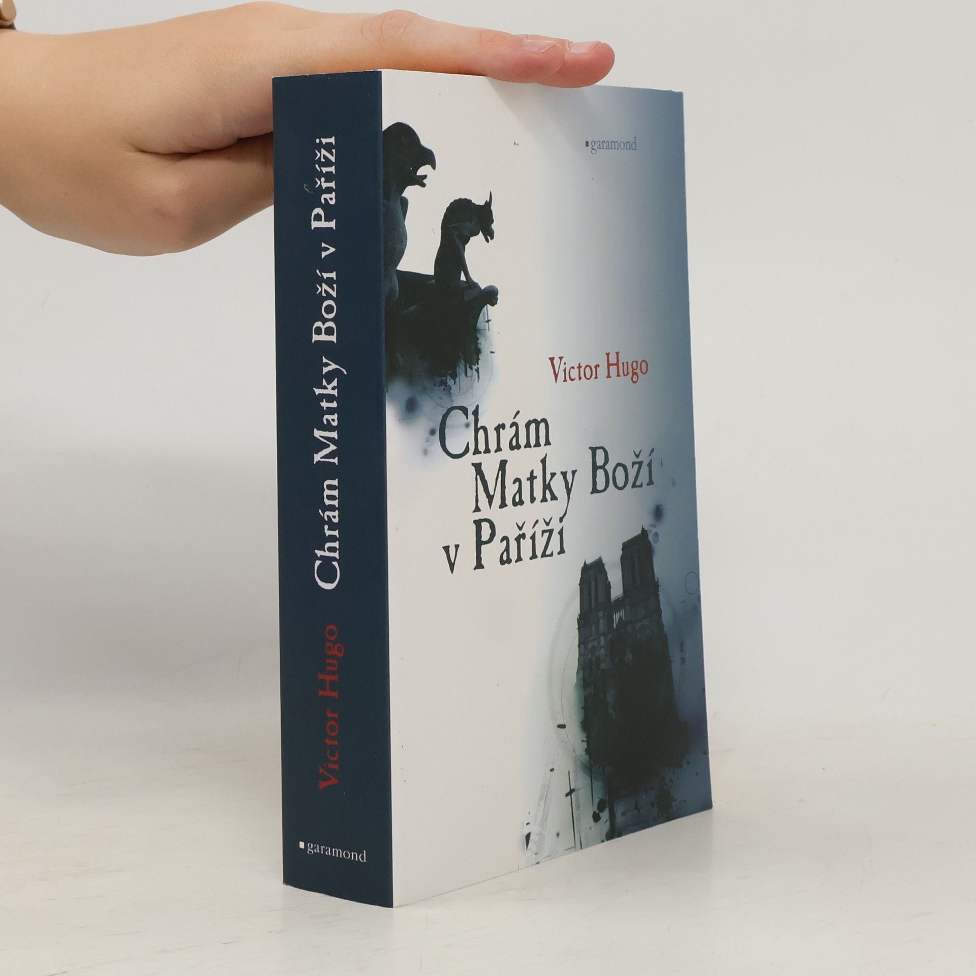 Victor Hugo Chrám Matky Boží v Paříži
