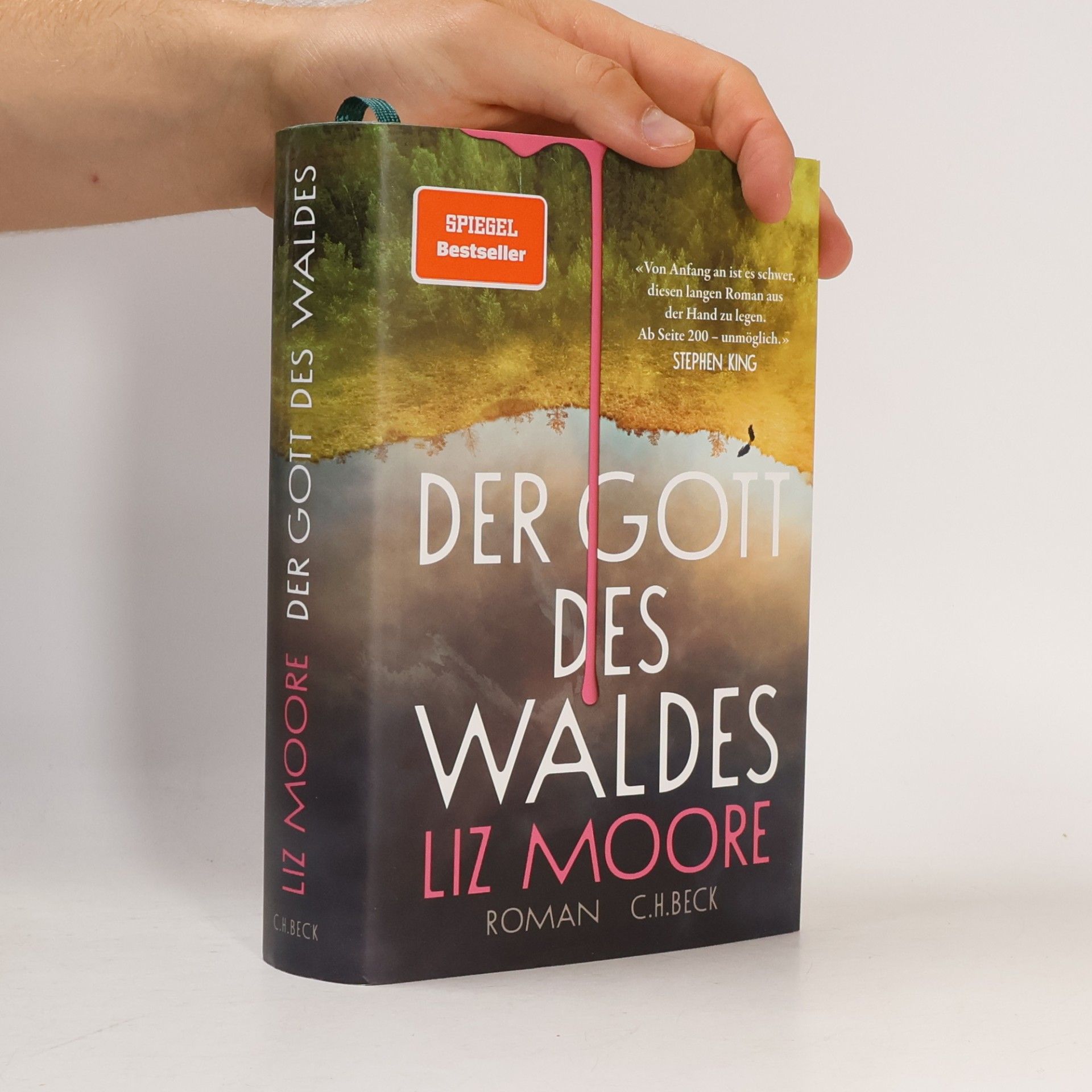 Liz Moore Der Gott des Waldes