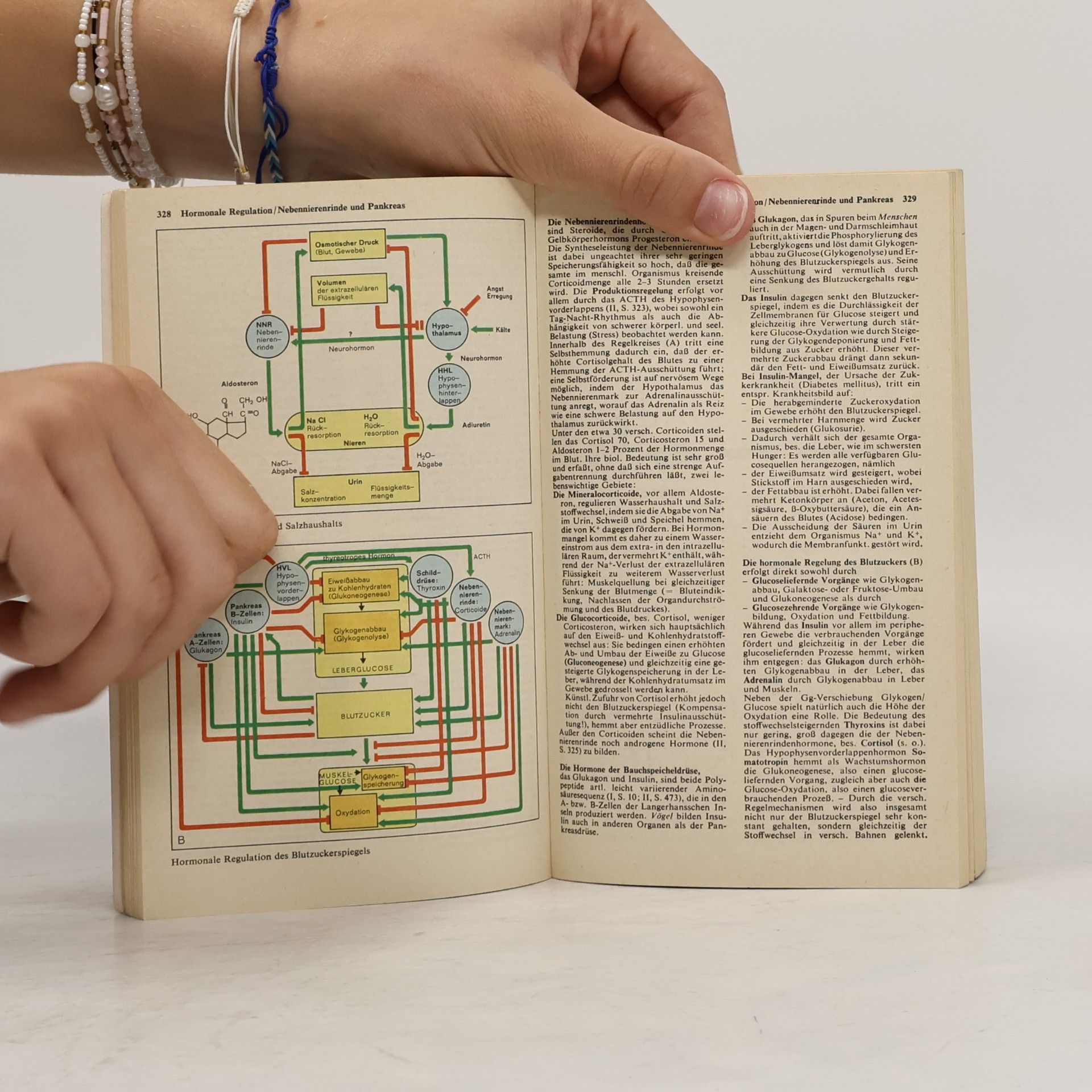 Kolektiv autorů Dtv-Atlas zur Biologie. Band 2