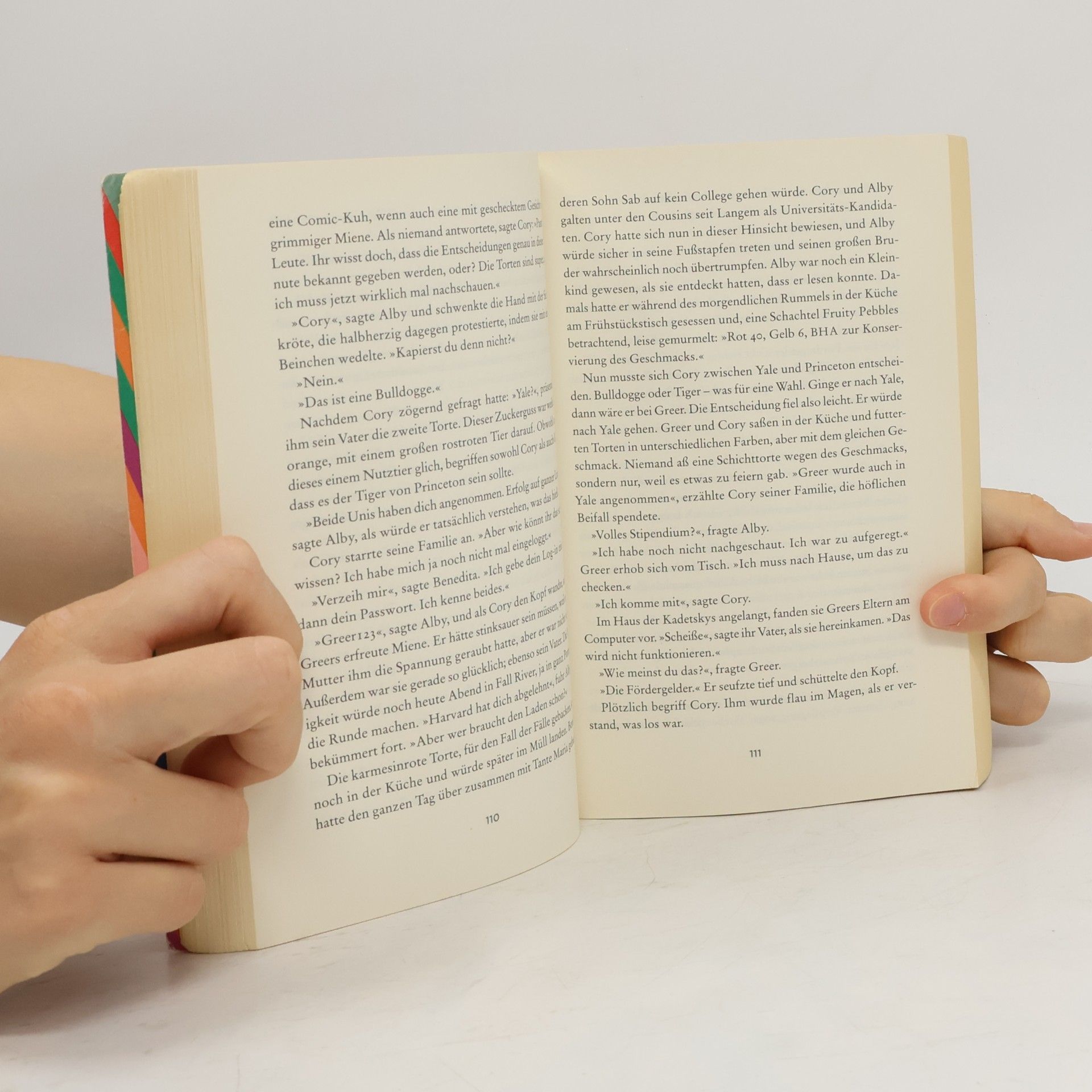 Meg Wolitzer Das weibliche Prinzip