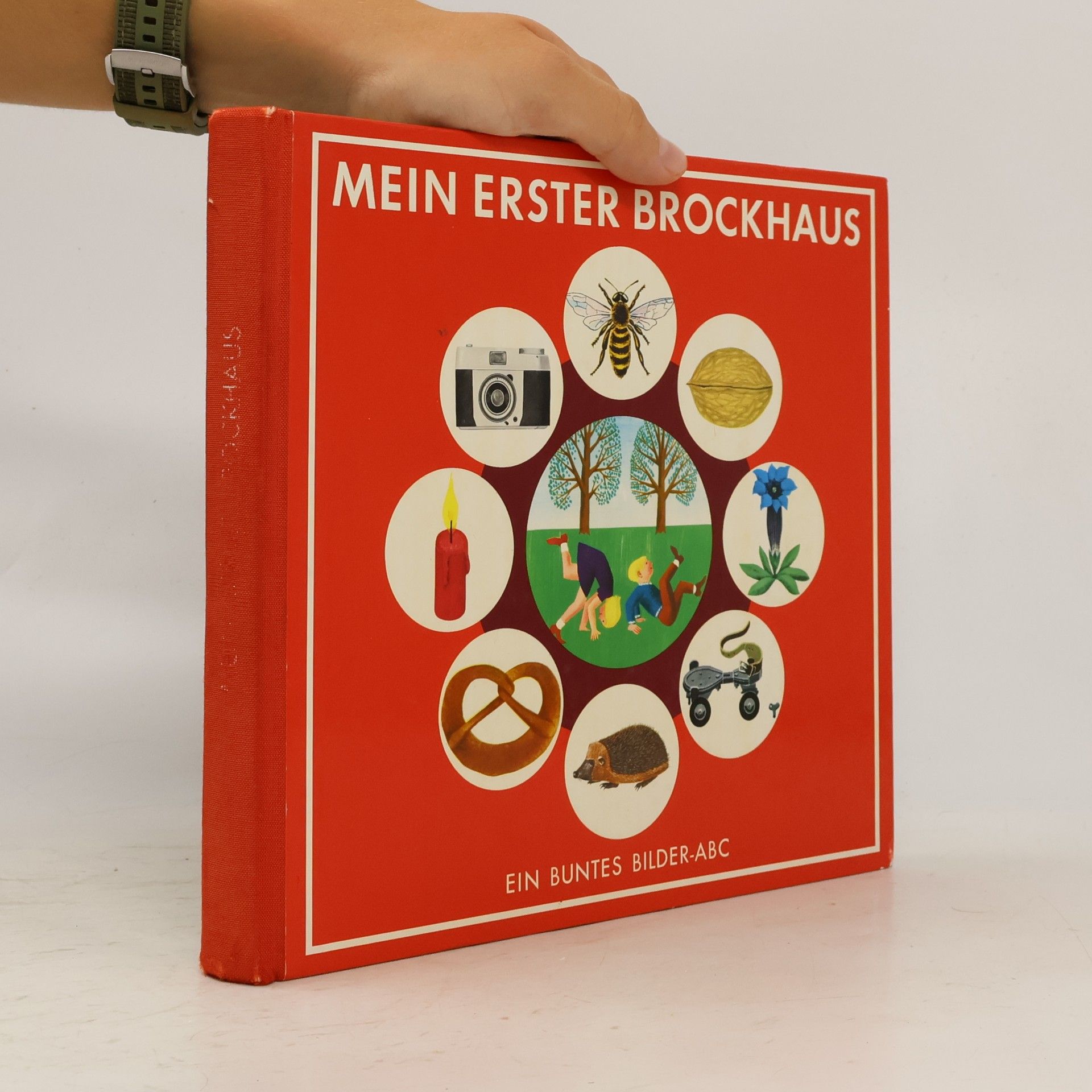 Autorenkollektiv Mein erster Brockhaus: Ein buntes Bilder-ABC