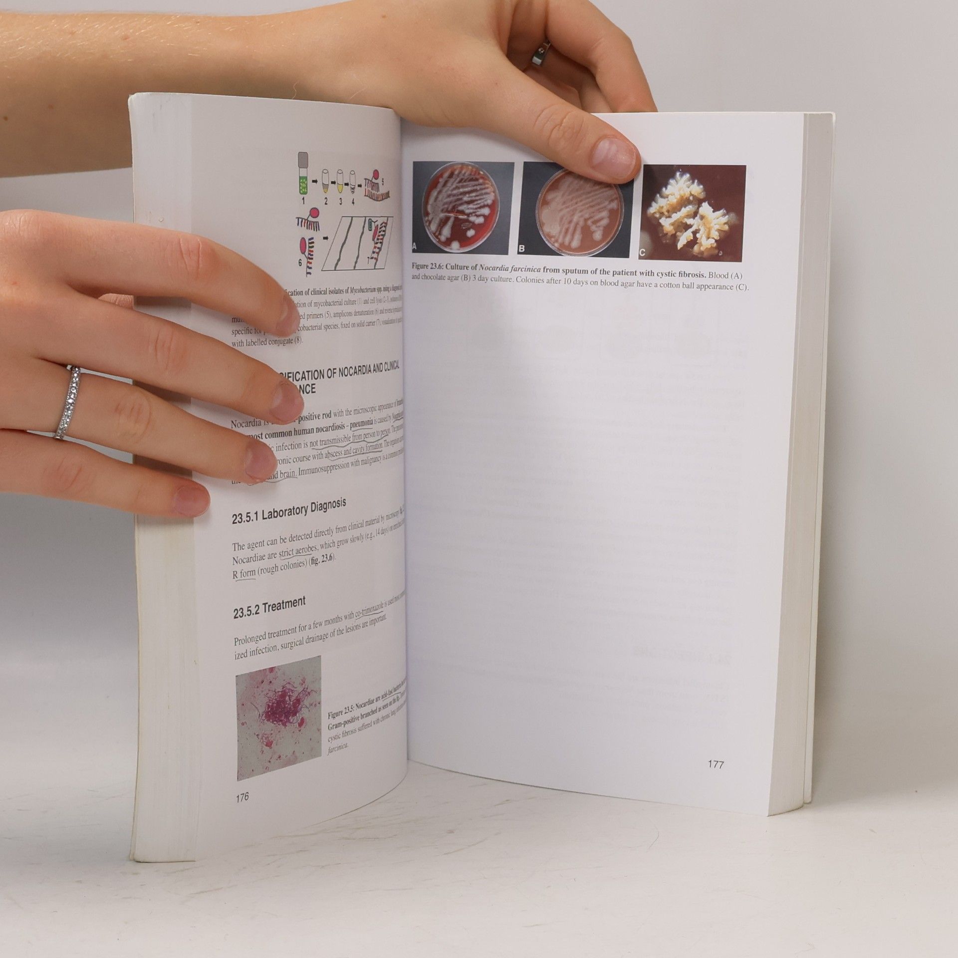 Oto Melter The MicroBook - Clinical Microbiology for Medical Students