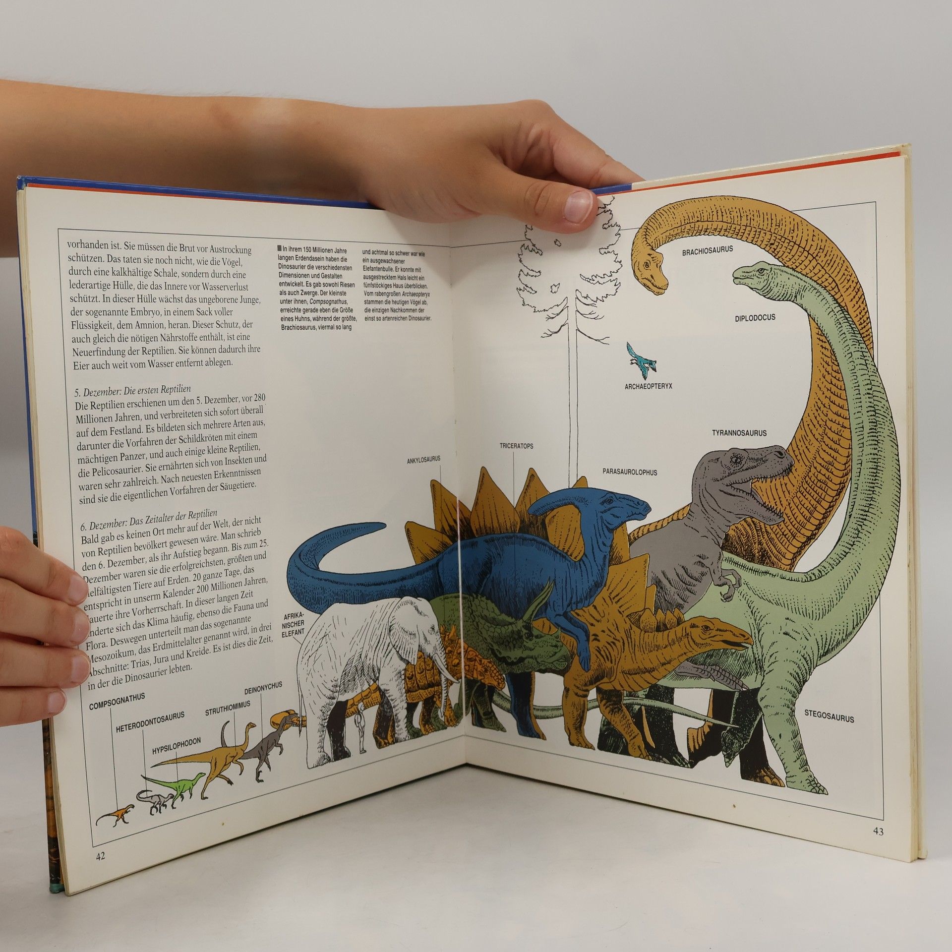 Maria Luisa Bozzi Die Welt der Dinosaurier