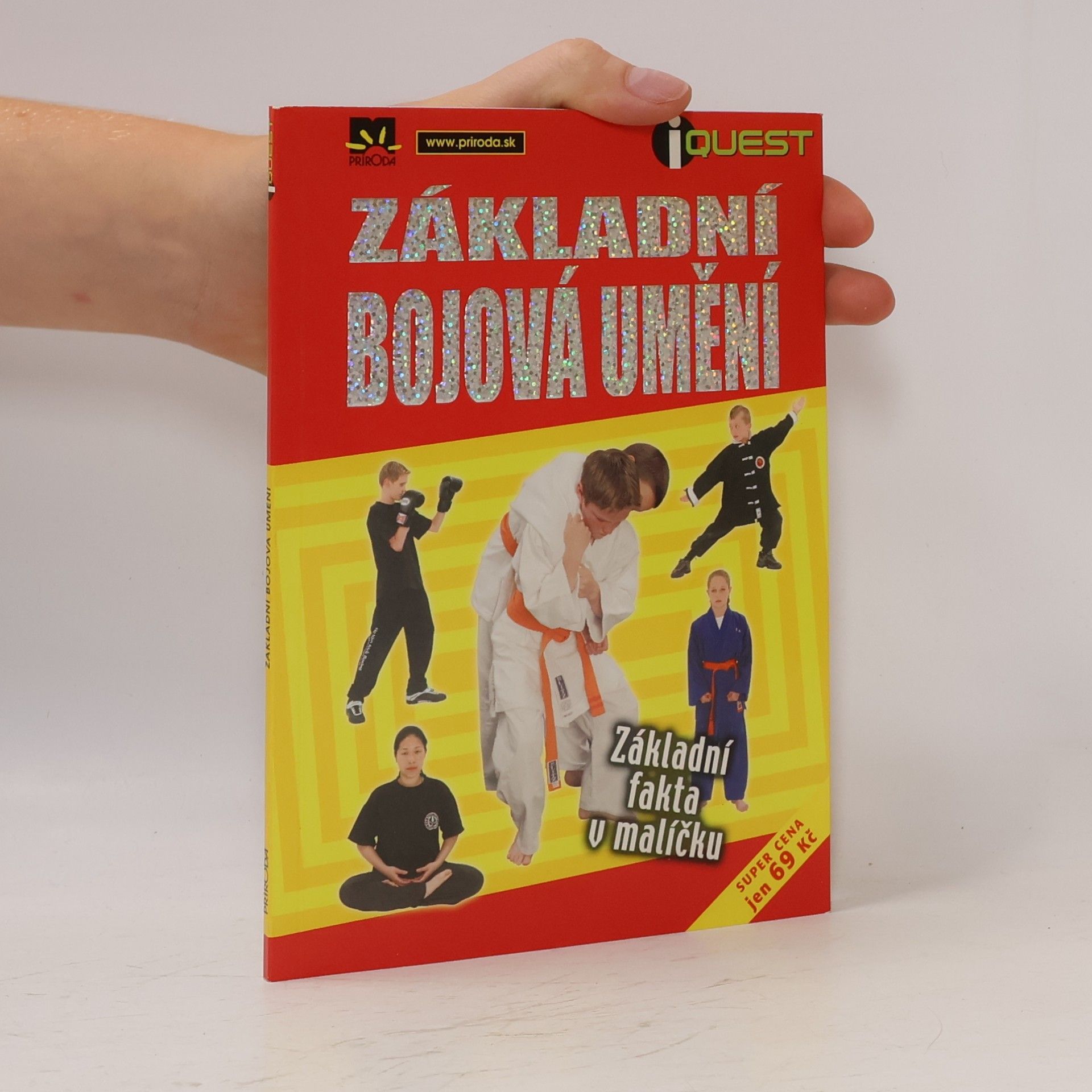 Simon Mugford Základní bojová umění
