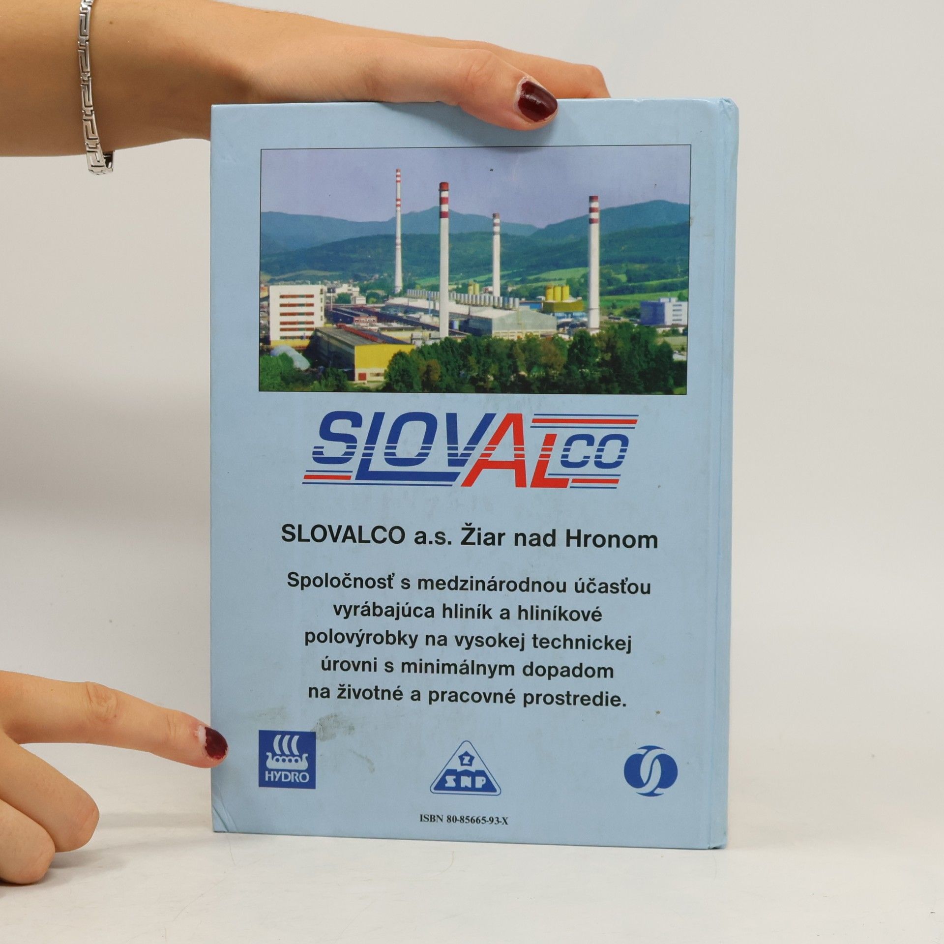 Autorenkollektiv Slovensko-anglický slovník