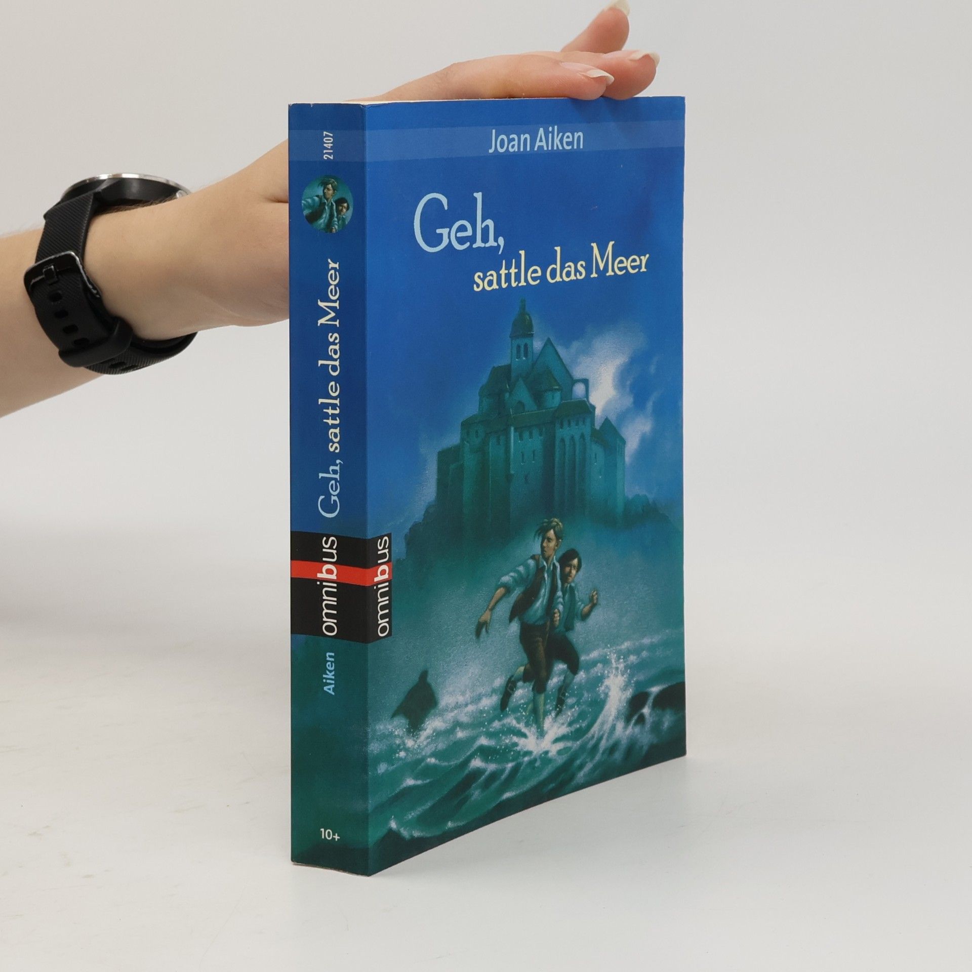 Joan Aiken Geh, sattle das Meer