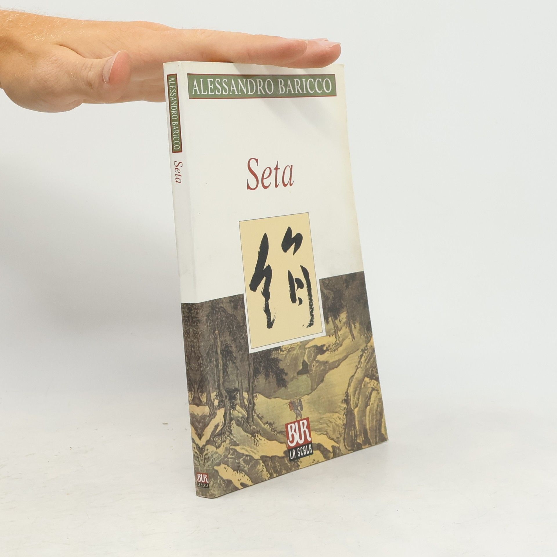 Alessandro Baricco Seta