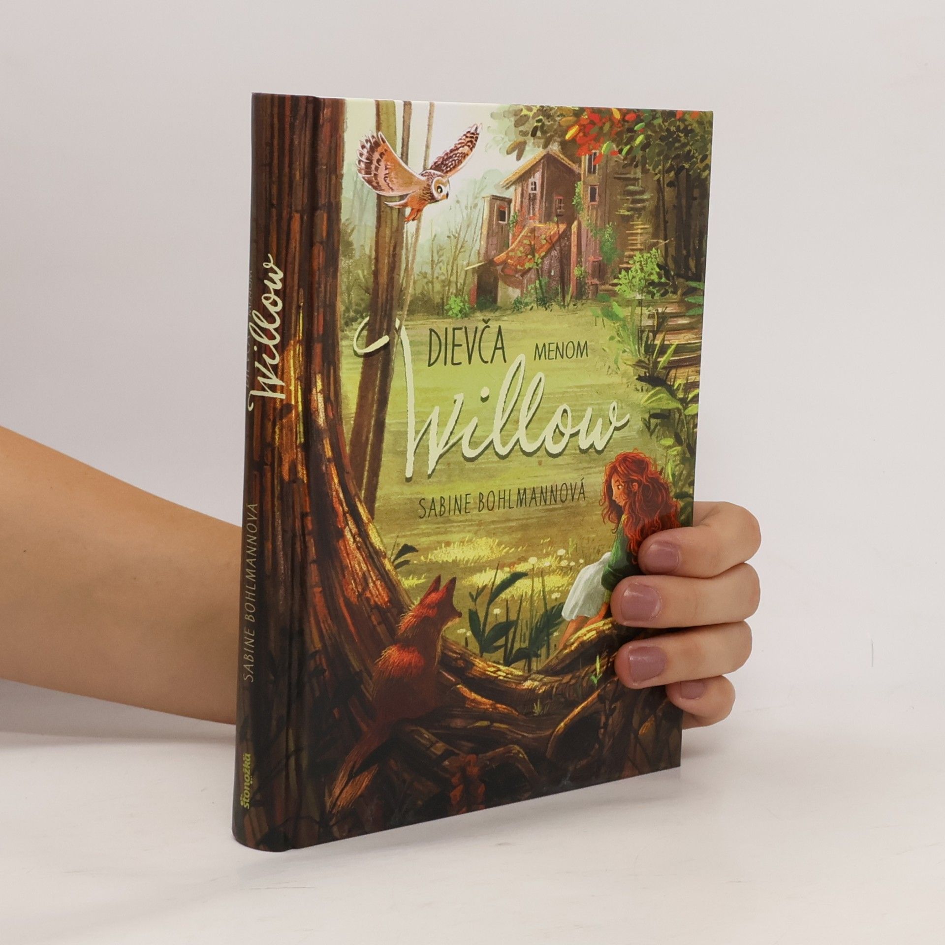 Sabine Bohlmann Dievča menom Willow