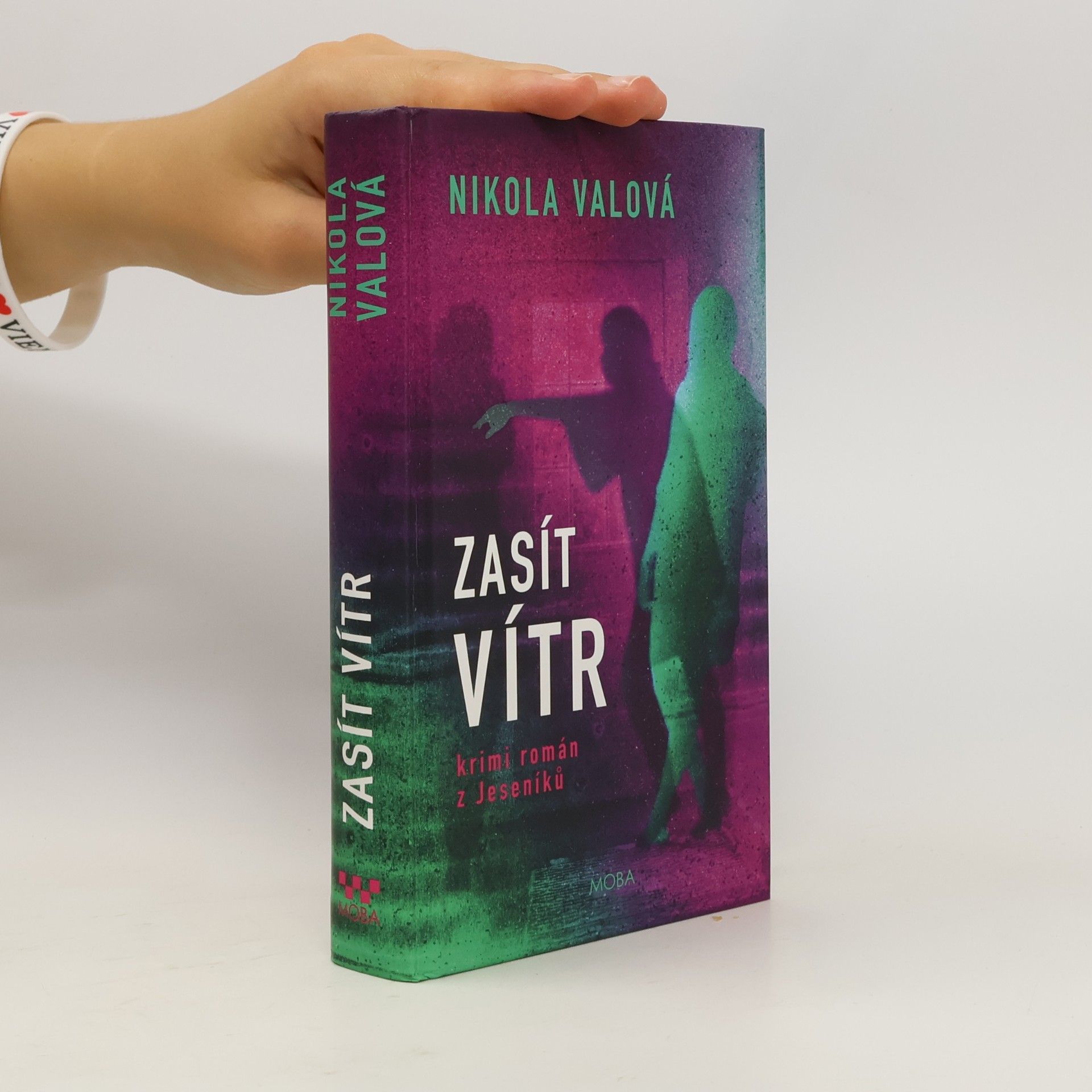 Zasít vítr