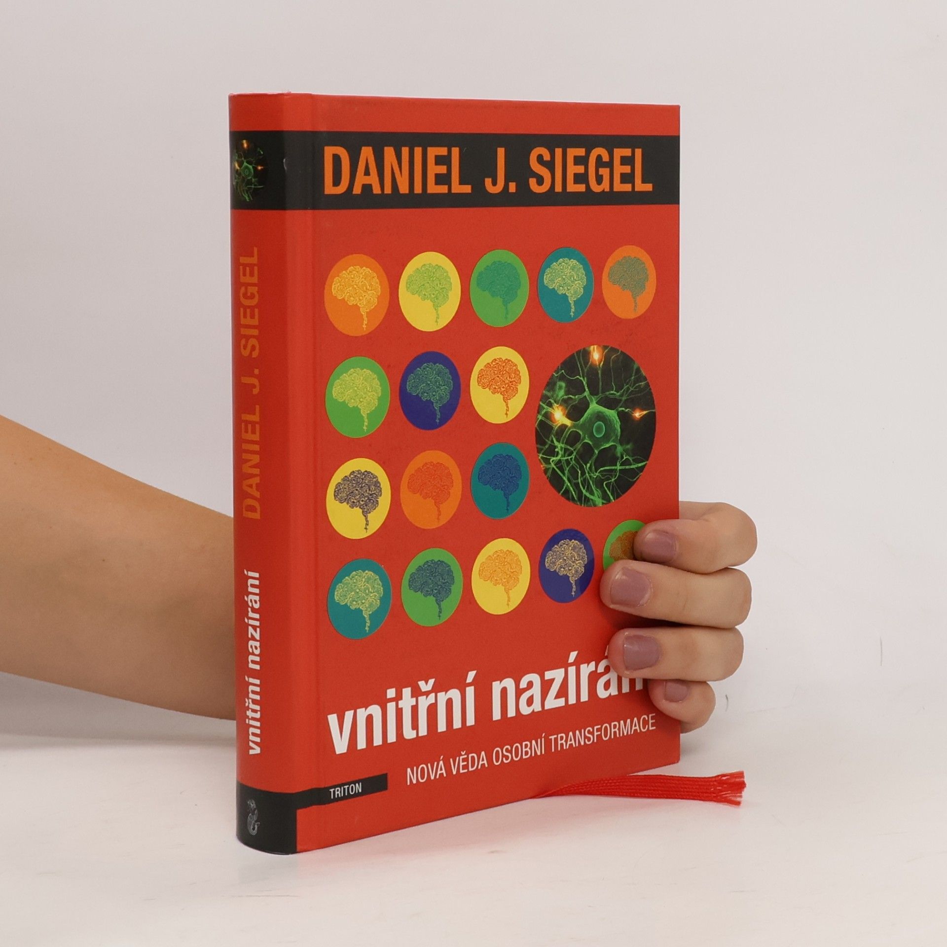 Daniel J. Siegel Vnitřní nazírání