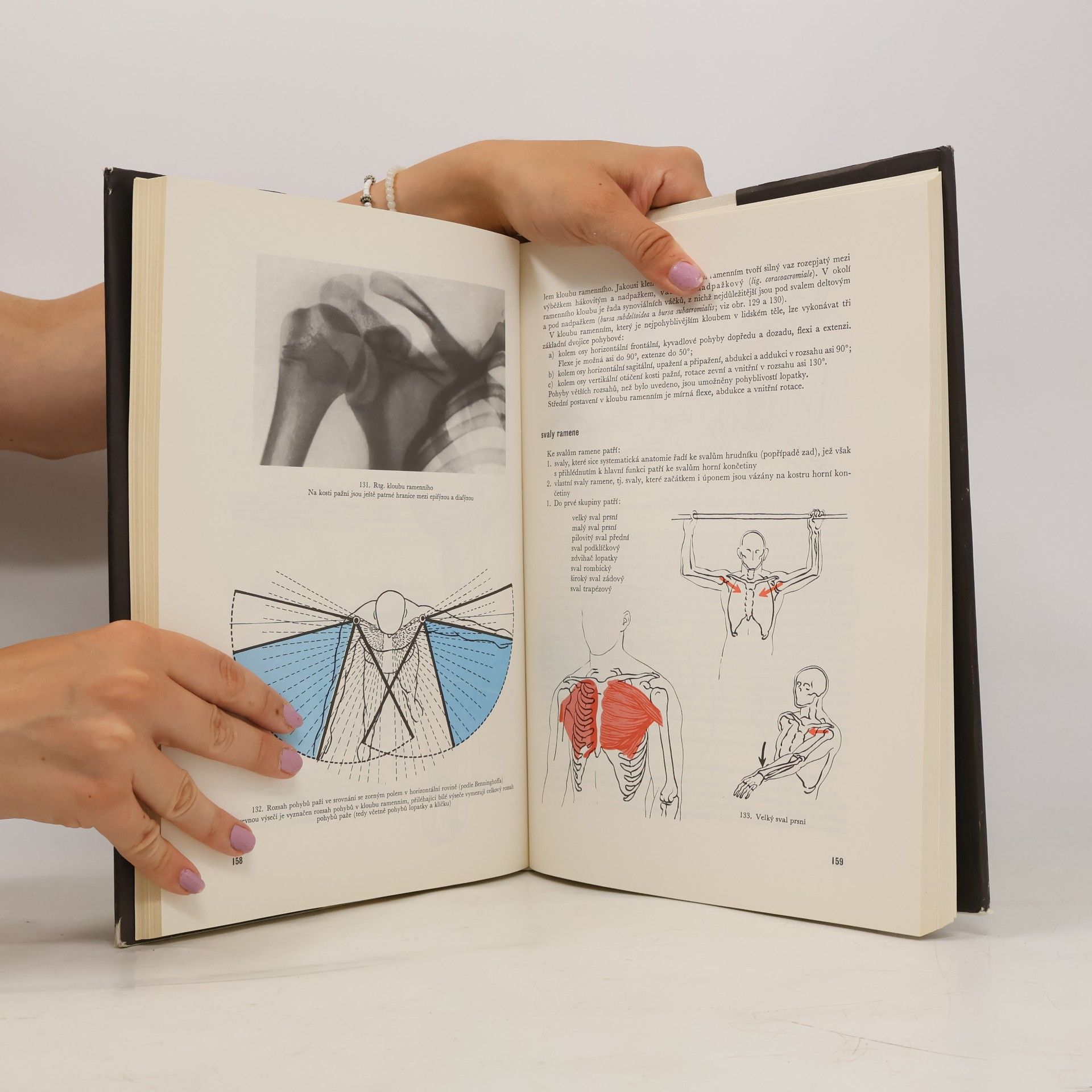 Rudolf Linc Anatomie člověka I