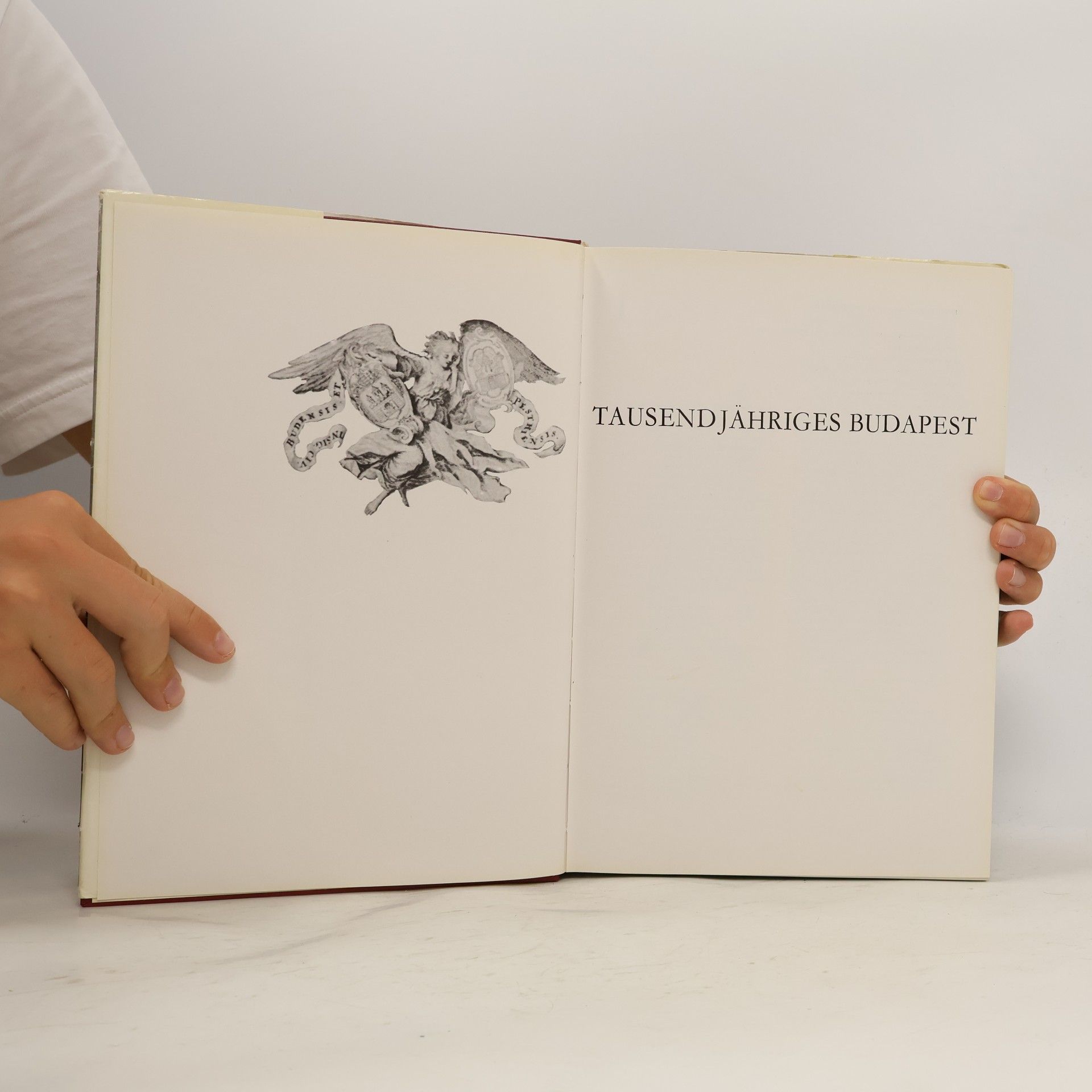 Autorenkollektiv Tausenjähriges Budapest