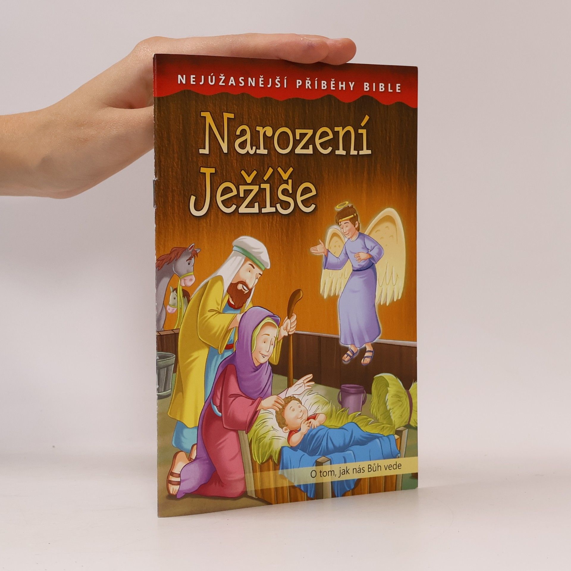 Kolektiv autorů Narození Ježíše