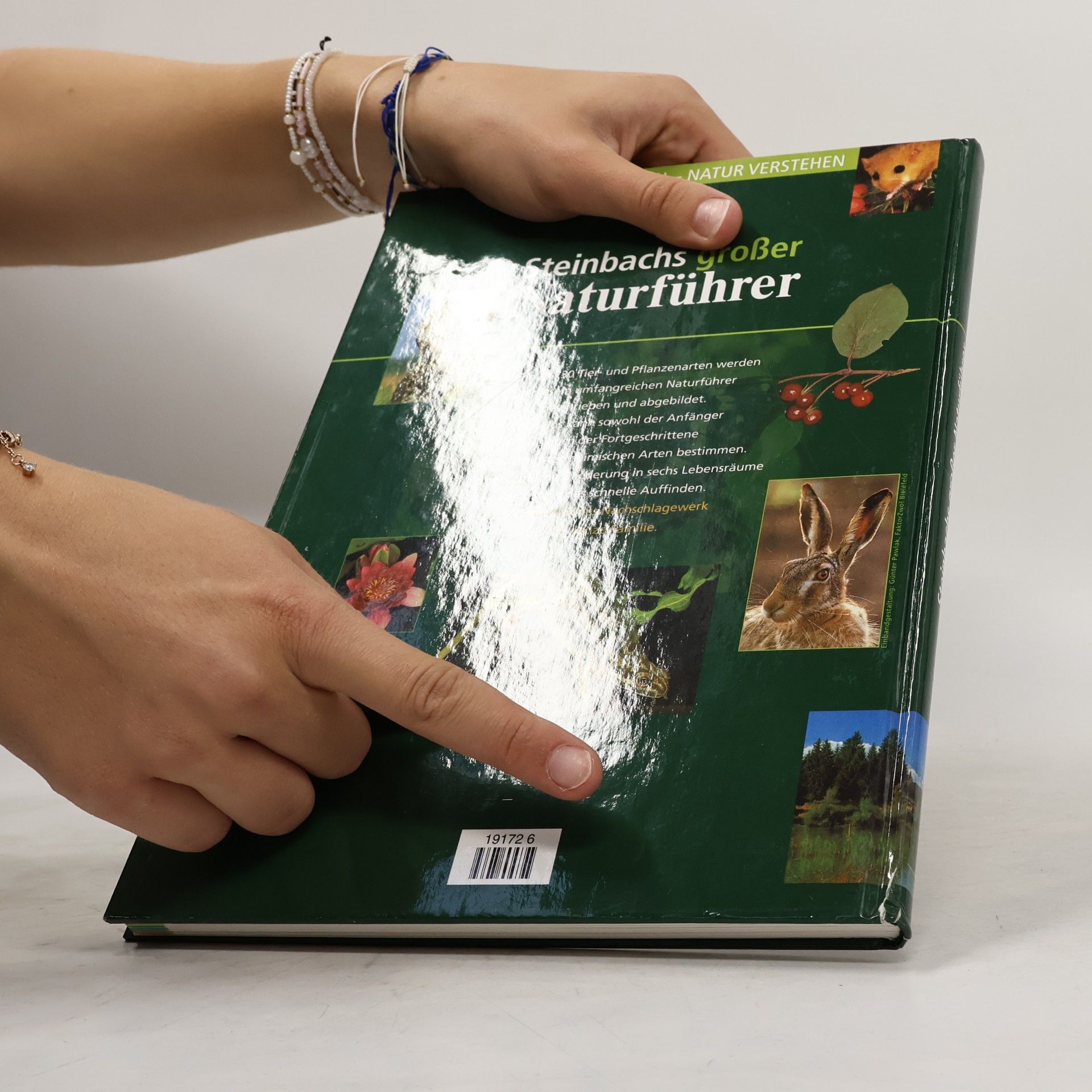 Autorenkollektiv Steinbachs großer Naturführer