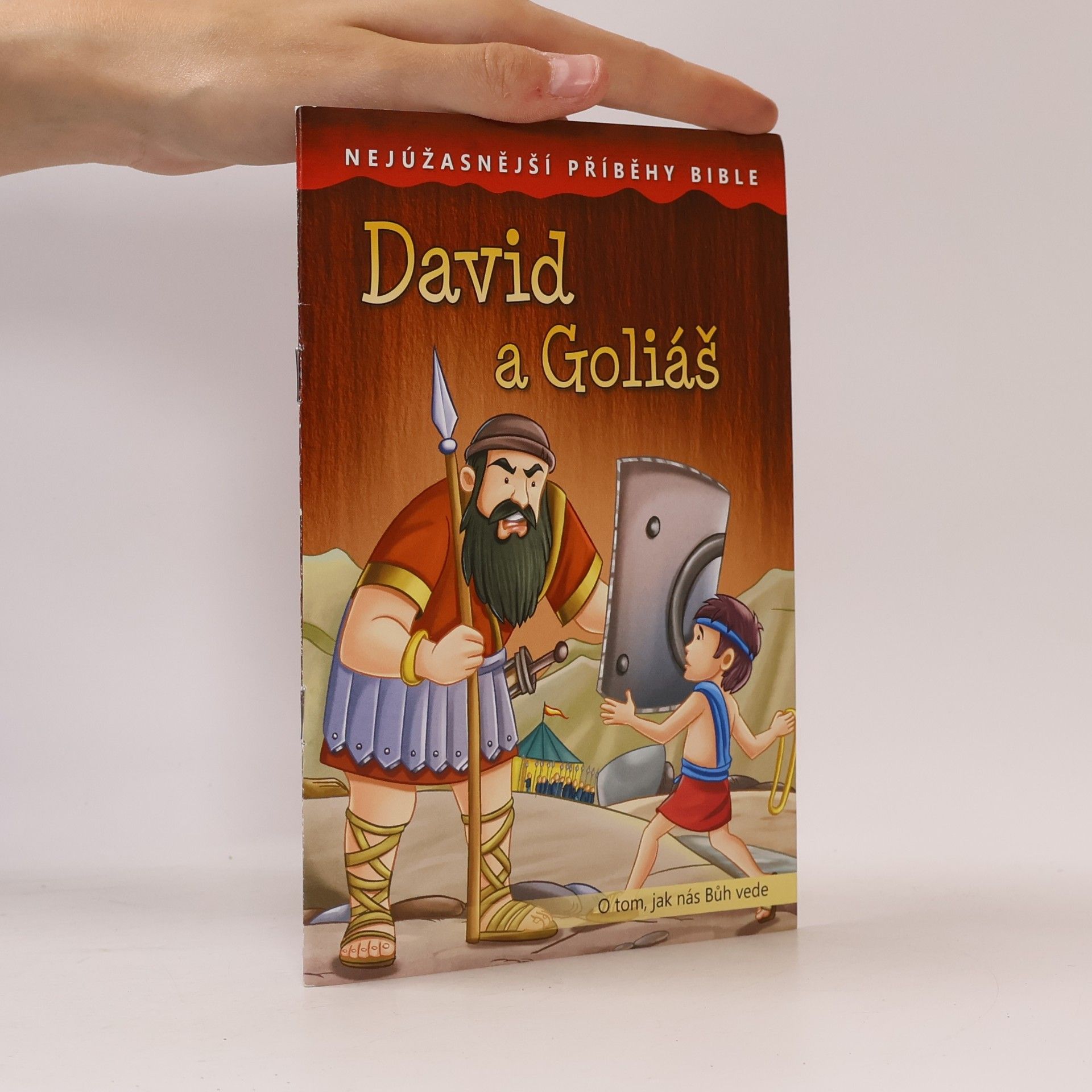 Kolektiv autorů David a Goliáš