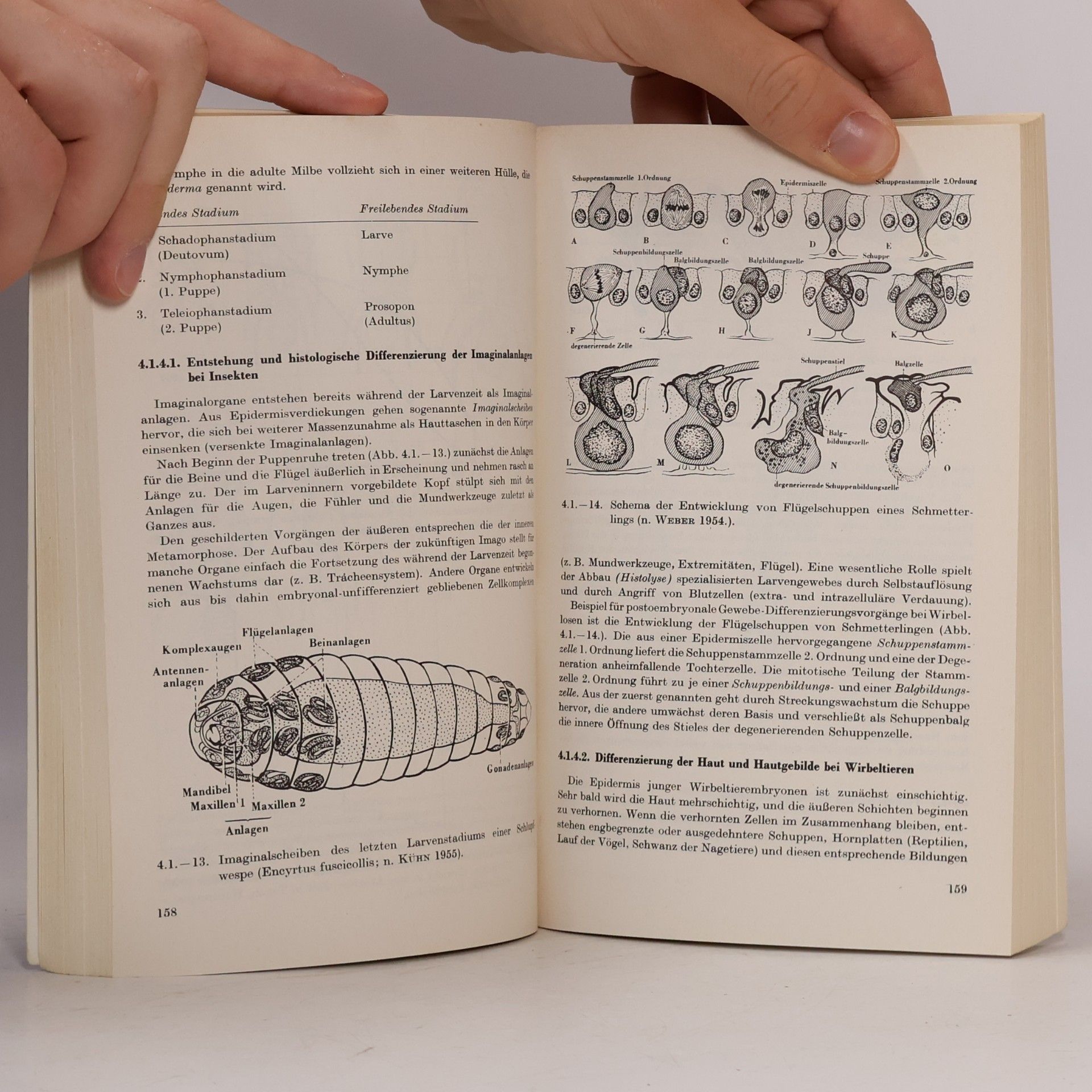 Heinz Geiler Taschenbuch der allgemeinen Zoologie