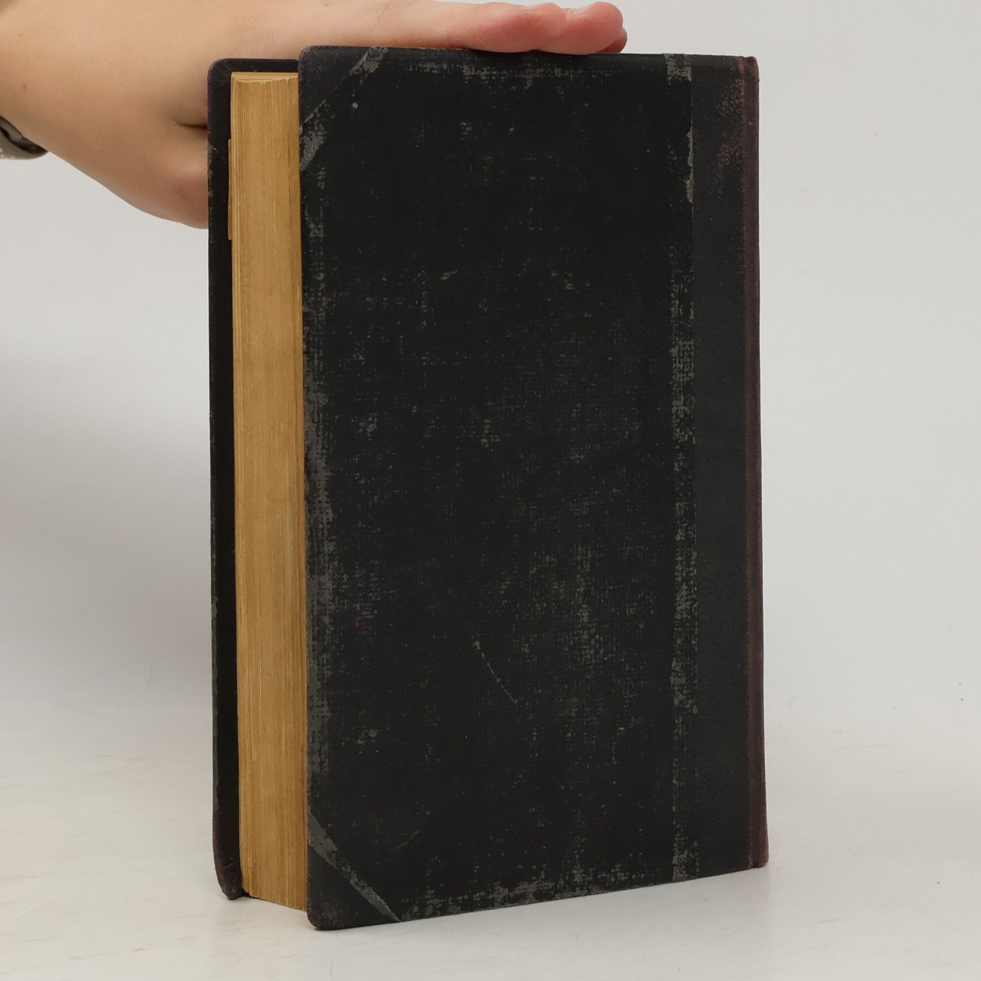 Arne Novák Stručné dějiny literatury české