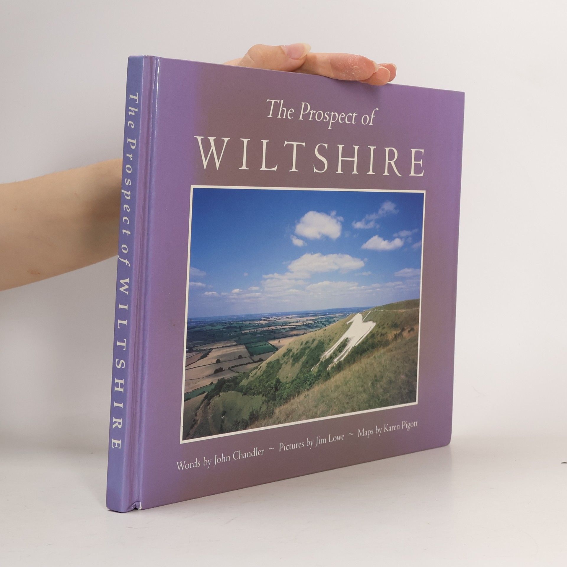 John H. Chandler Books On Wiltshire: The Prospect of Wiltshire