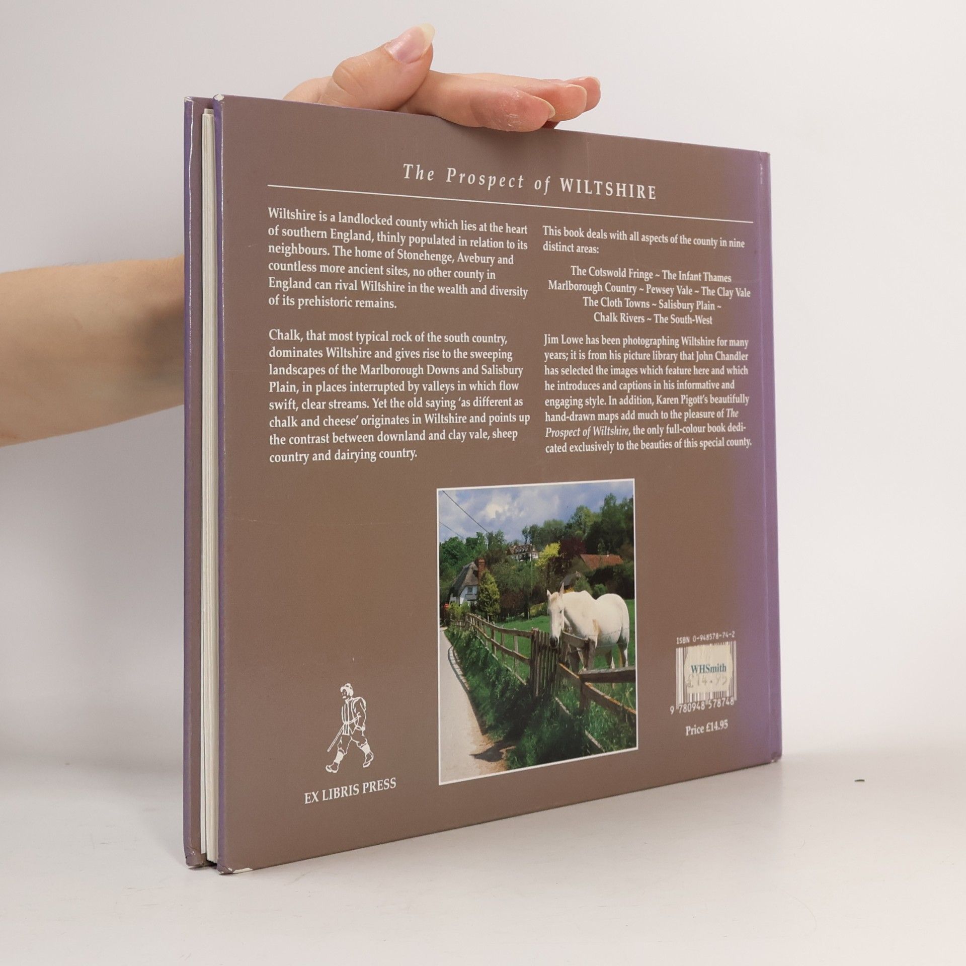 John H. Chandler Books On Wiltshire: The Prospect of Wiltshire